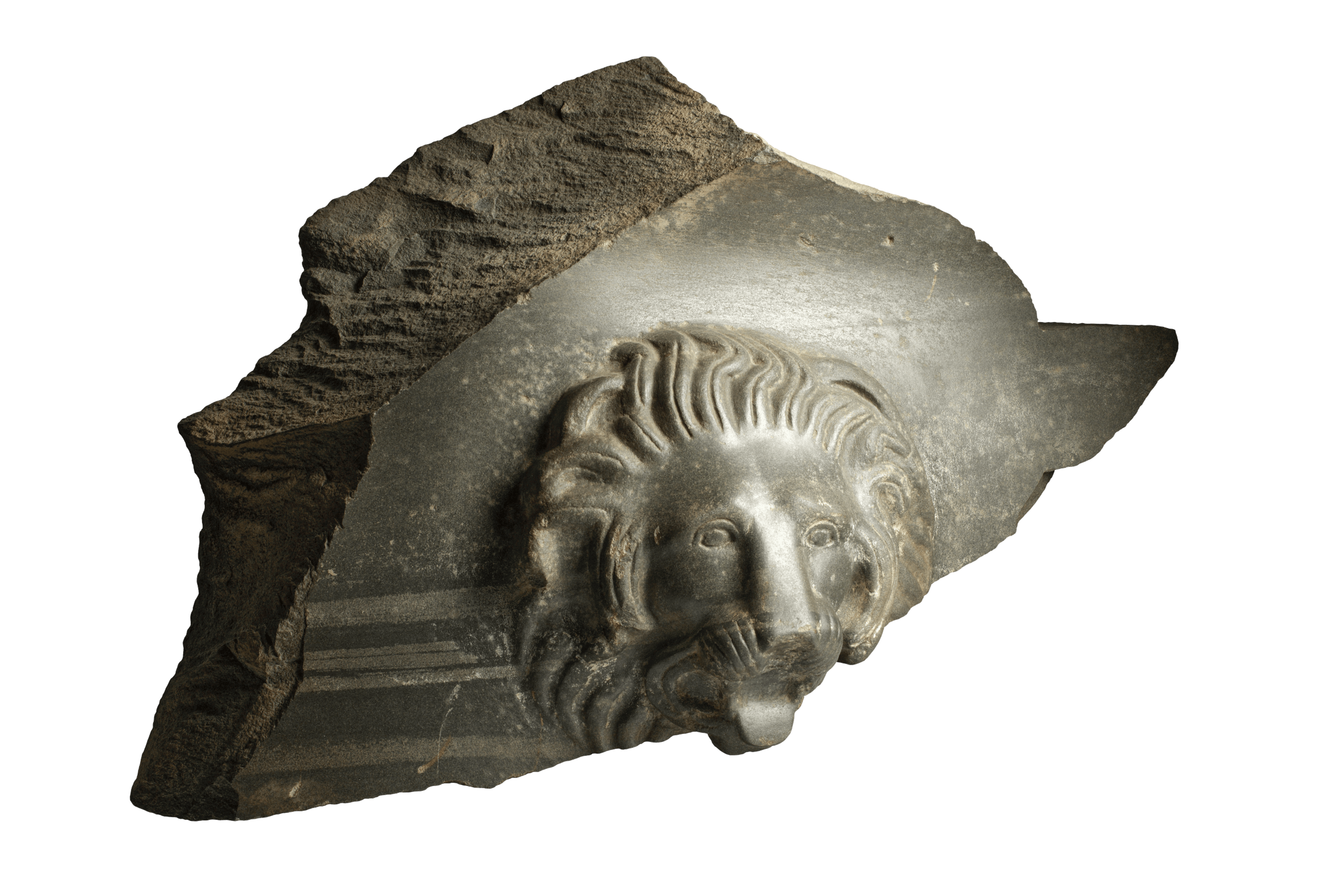 Frammento di sarcofago con testa leonina