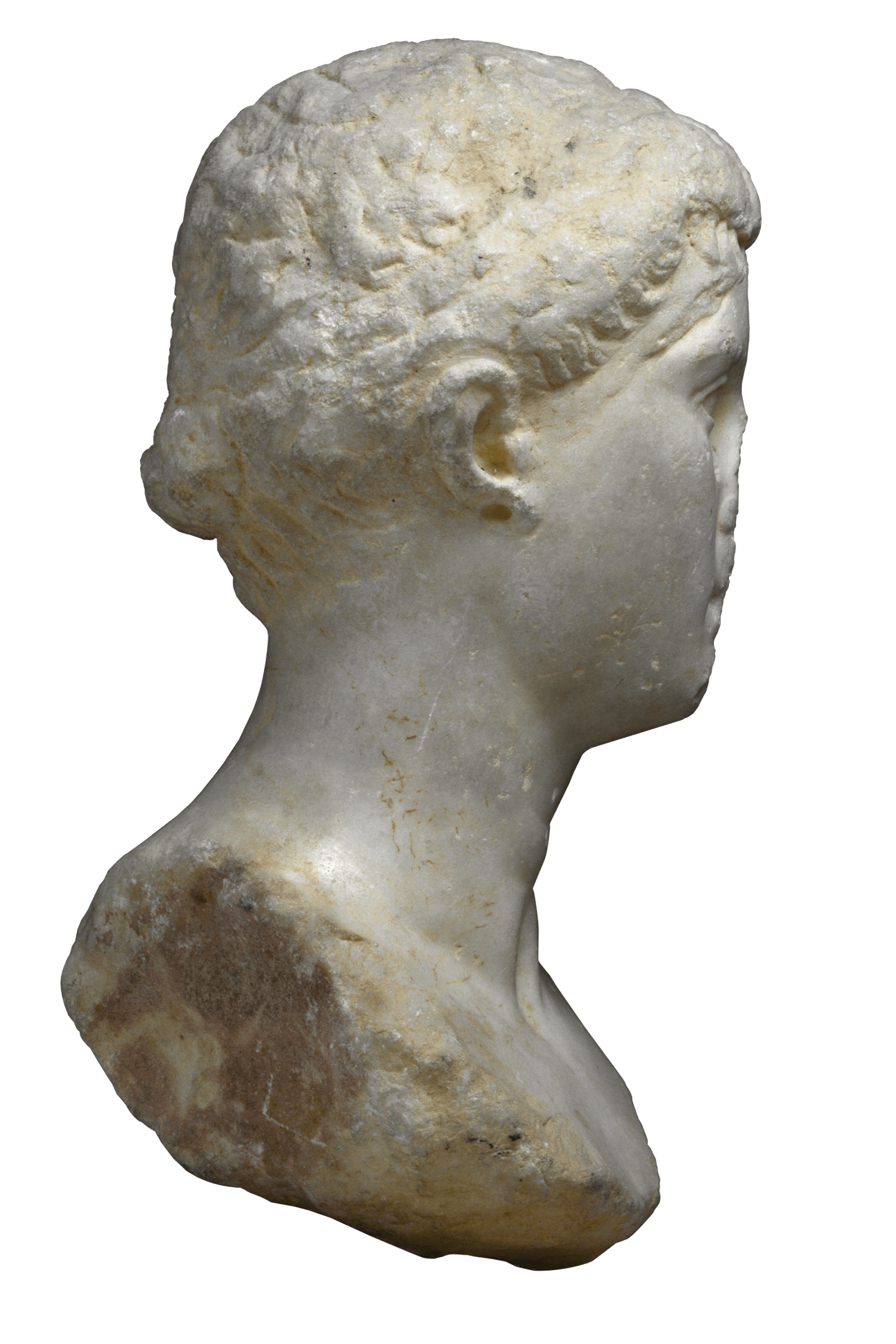 Ritratto di Cleopatra VII 2 | Fondazione Santarelli