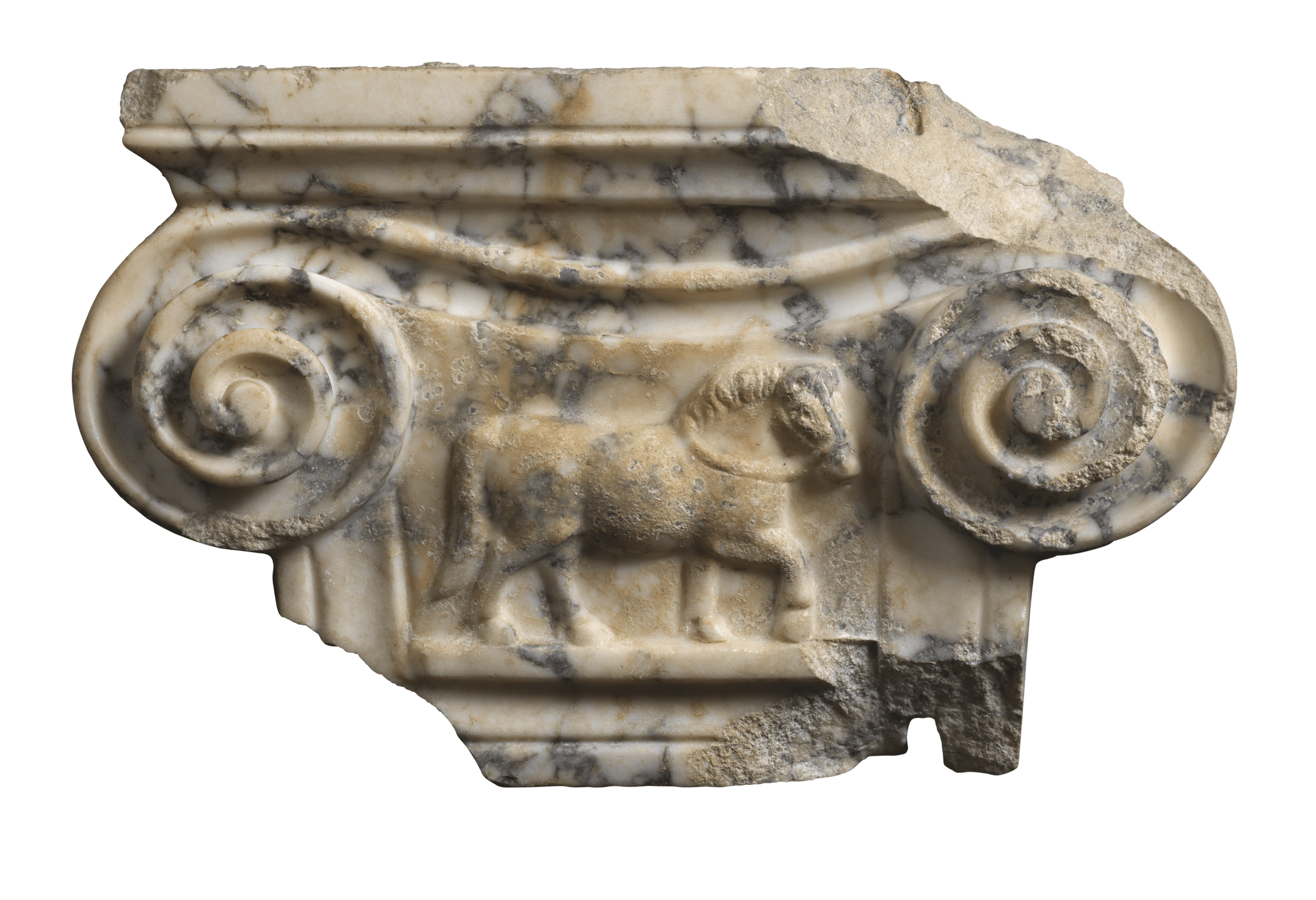 Pilaster capital with horse relief