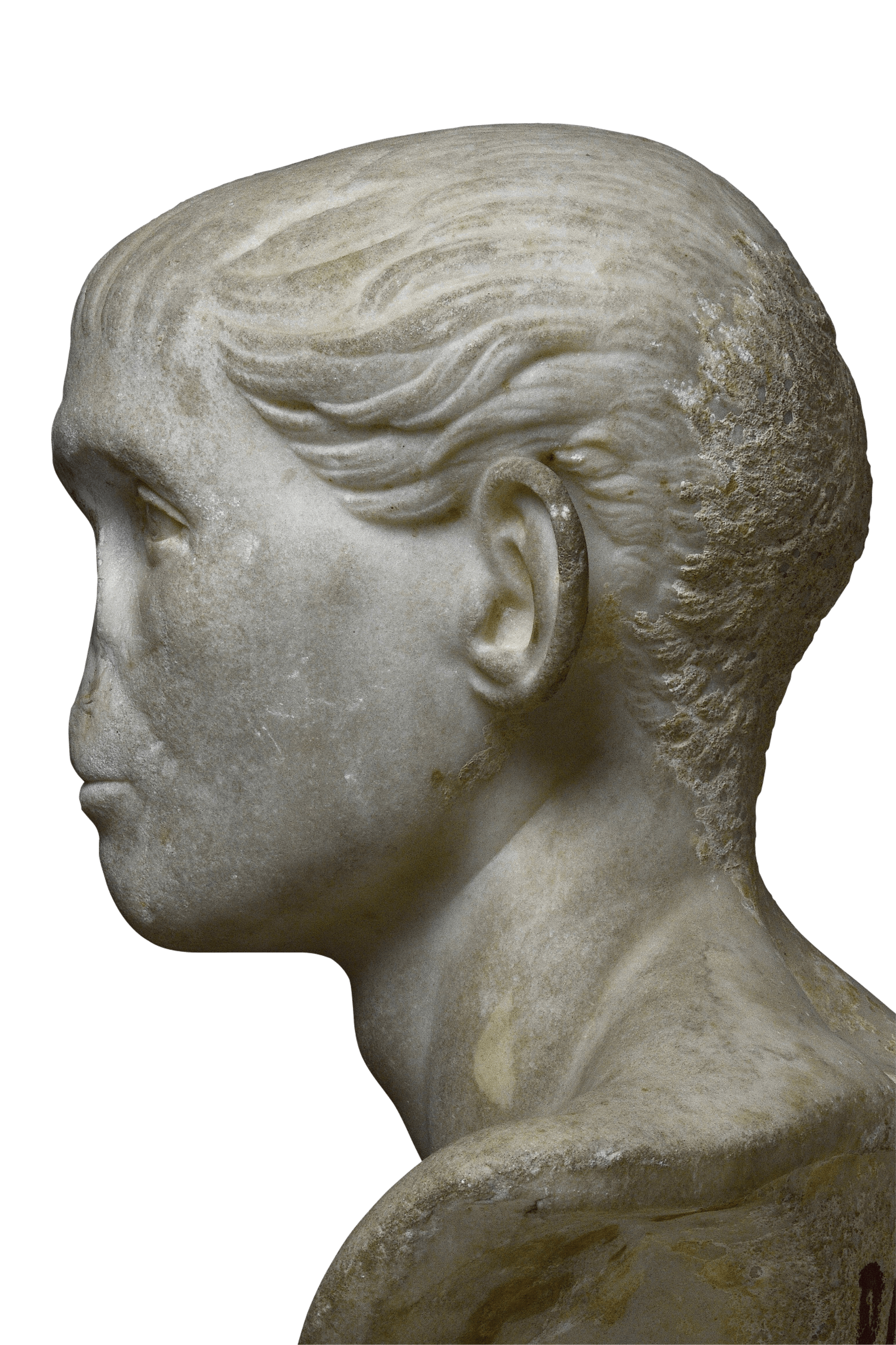 Busto maschile 2 | Fondazione Santarelli