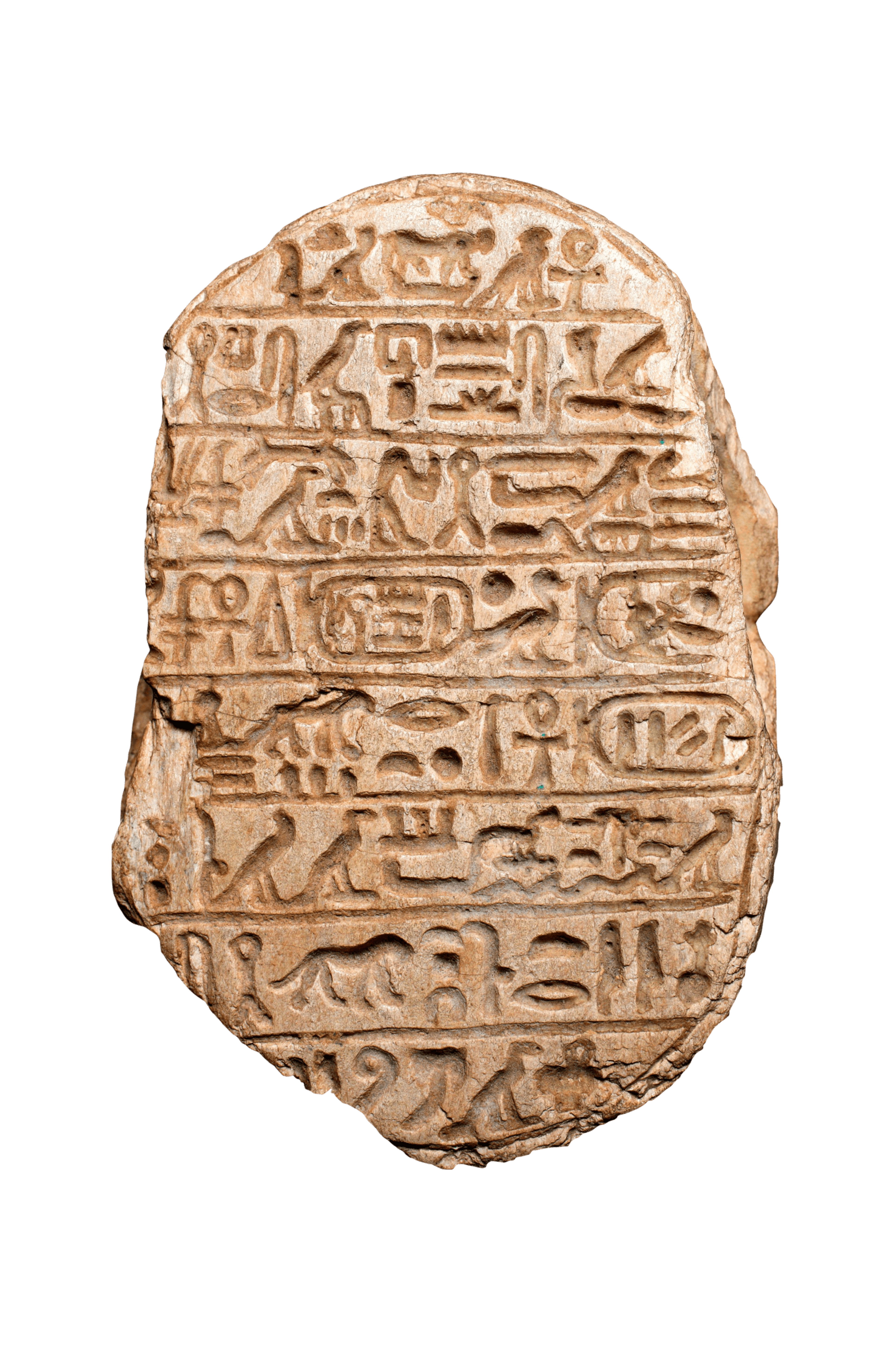 Scarabeo della caccia ai leoni di Amenhotep III