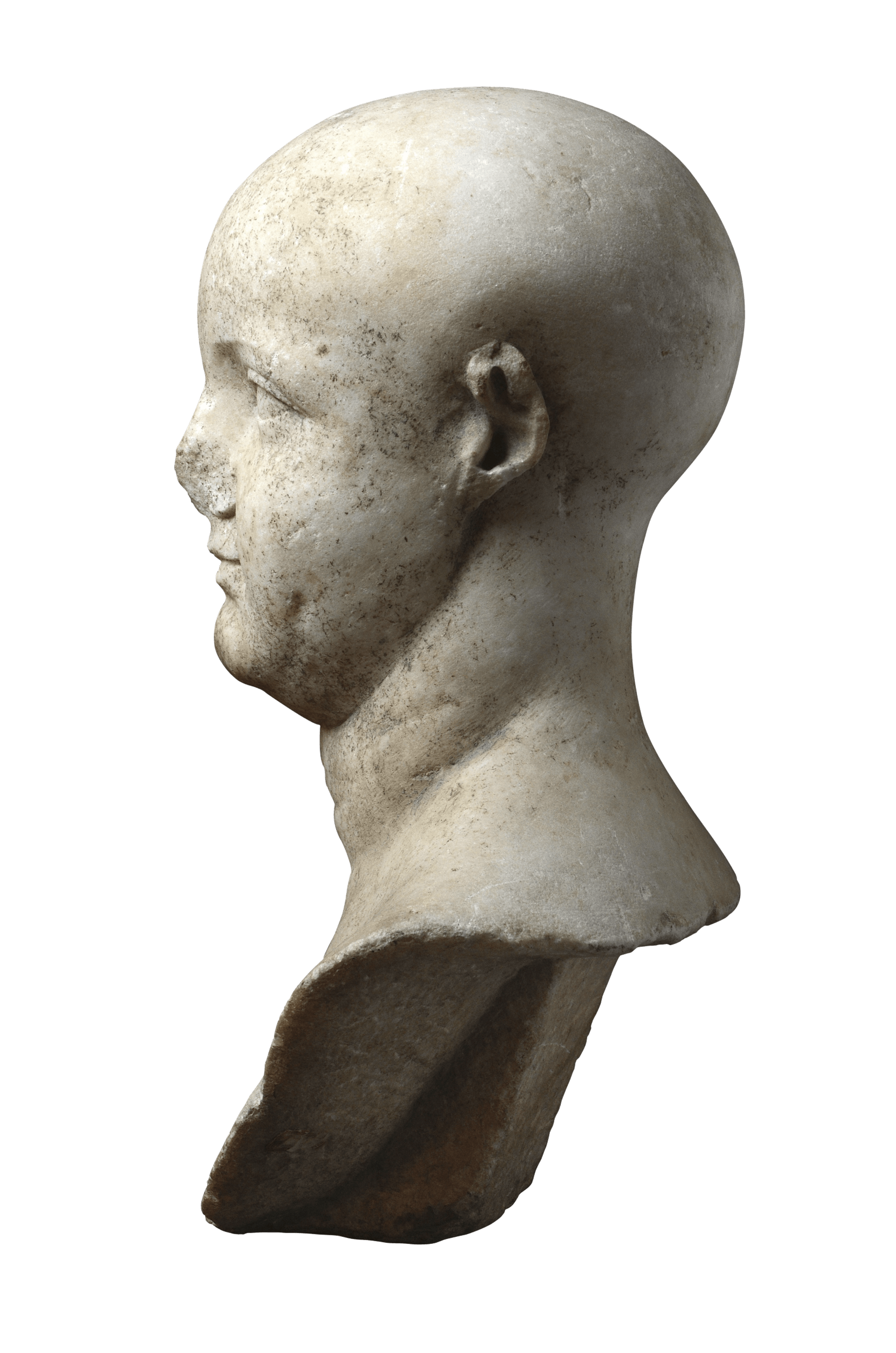 Bust of young man 2 | Fondazione Santarelli