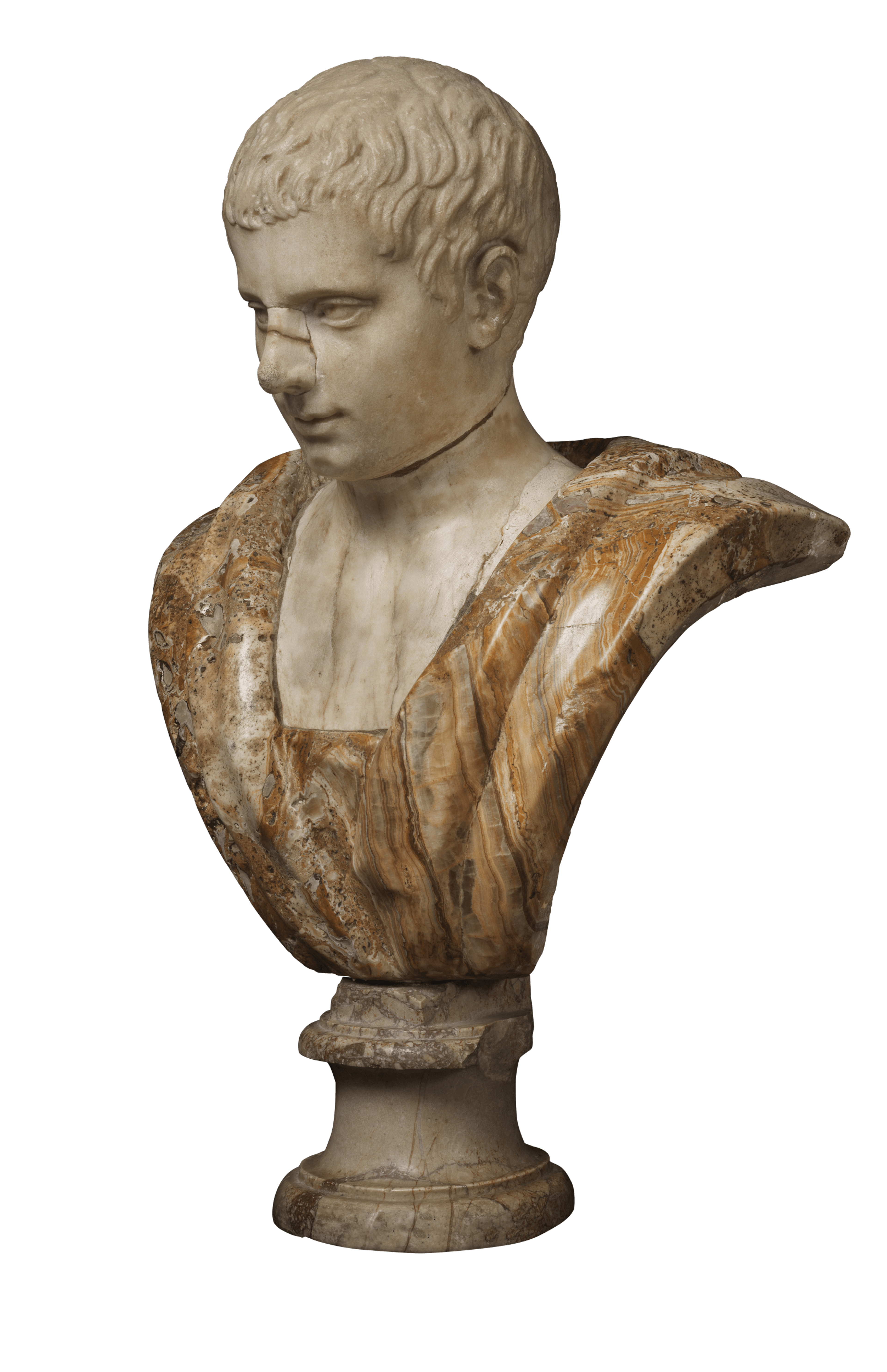 Male bust 2 | Fondazione Santarelli