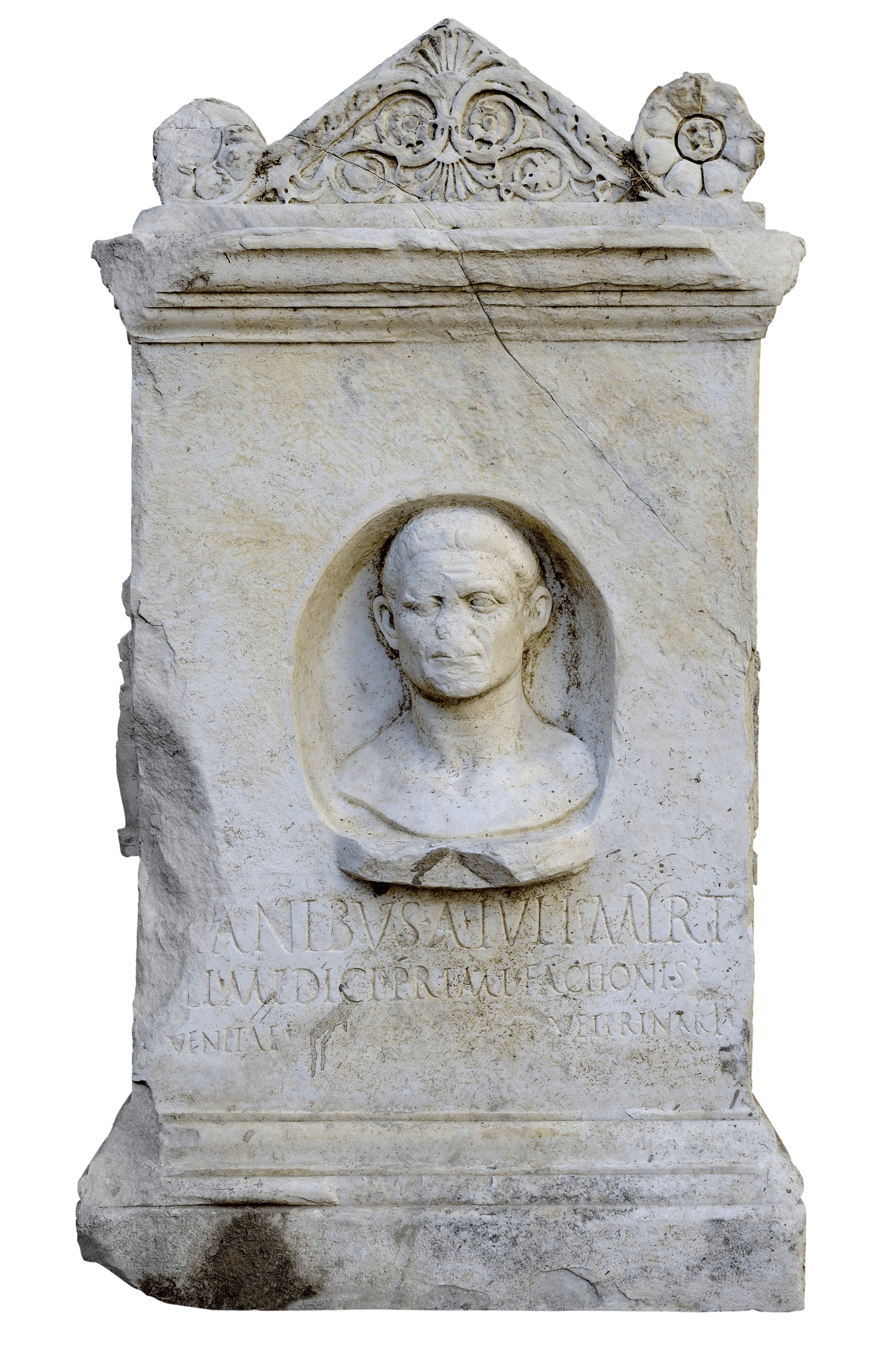 Altare funerario del veterinario A. Iulius Myrtilus 1 | Fondazione Santarelli