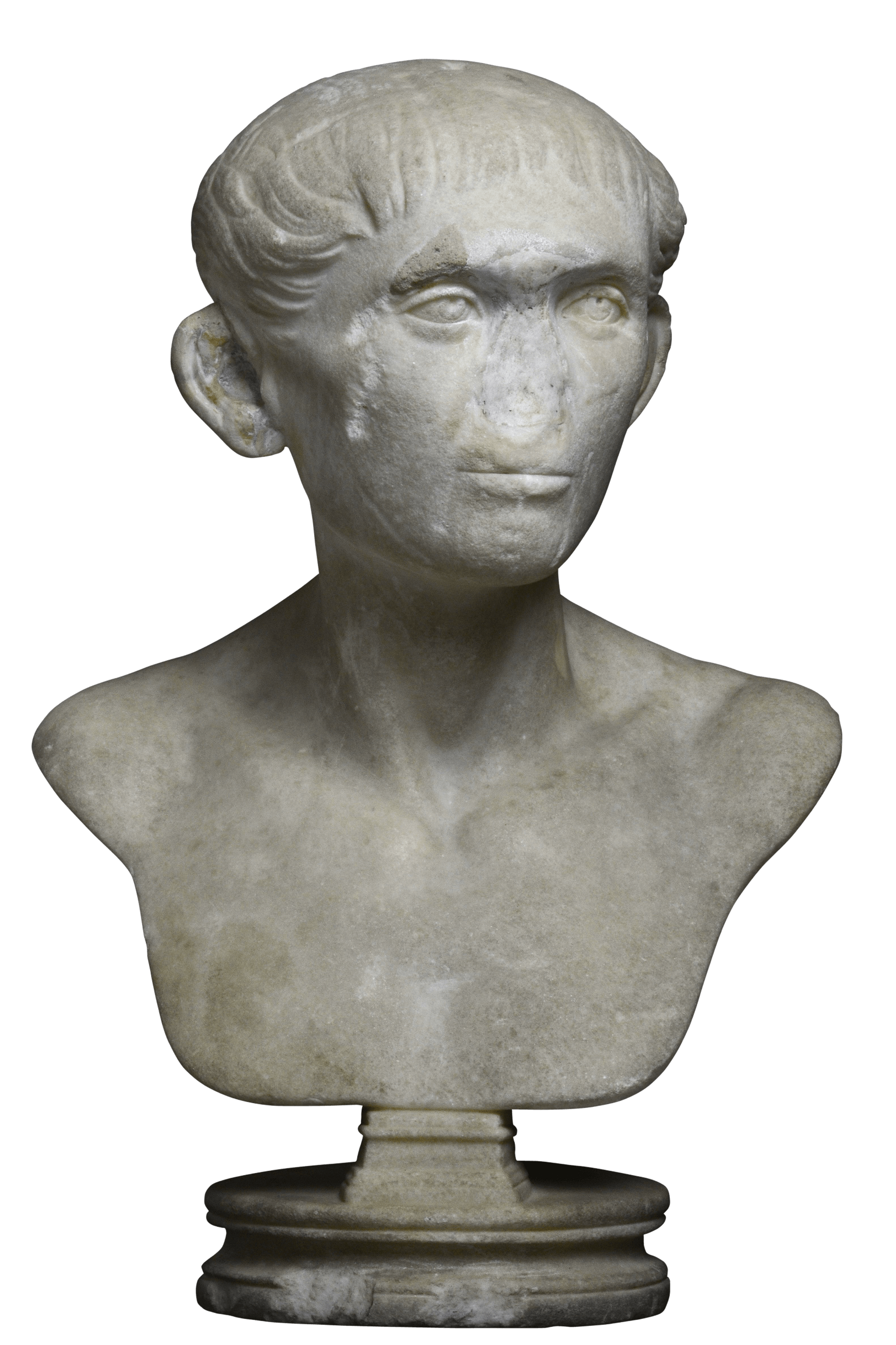 Male bust 1 | Fondazione Santarelli
