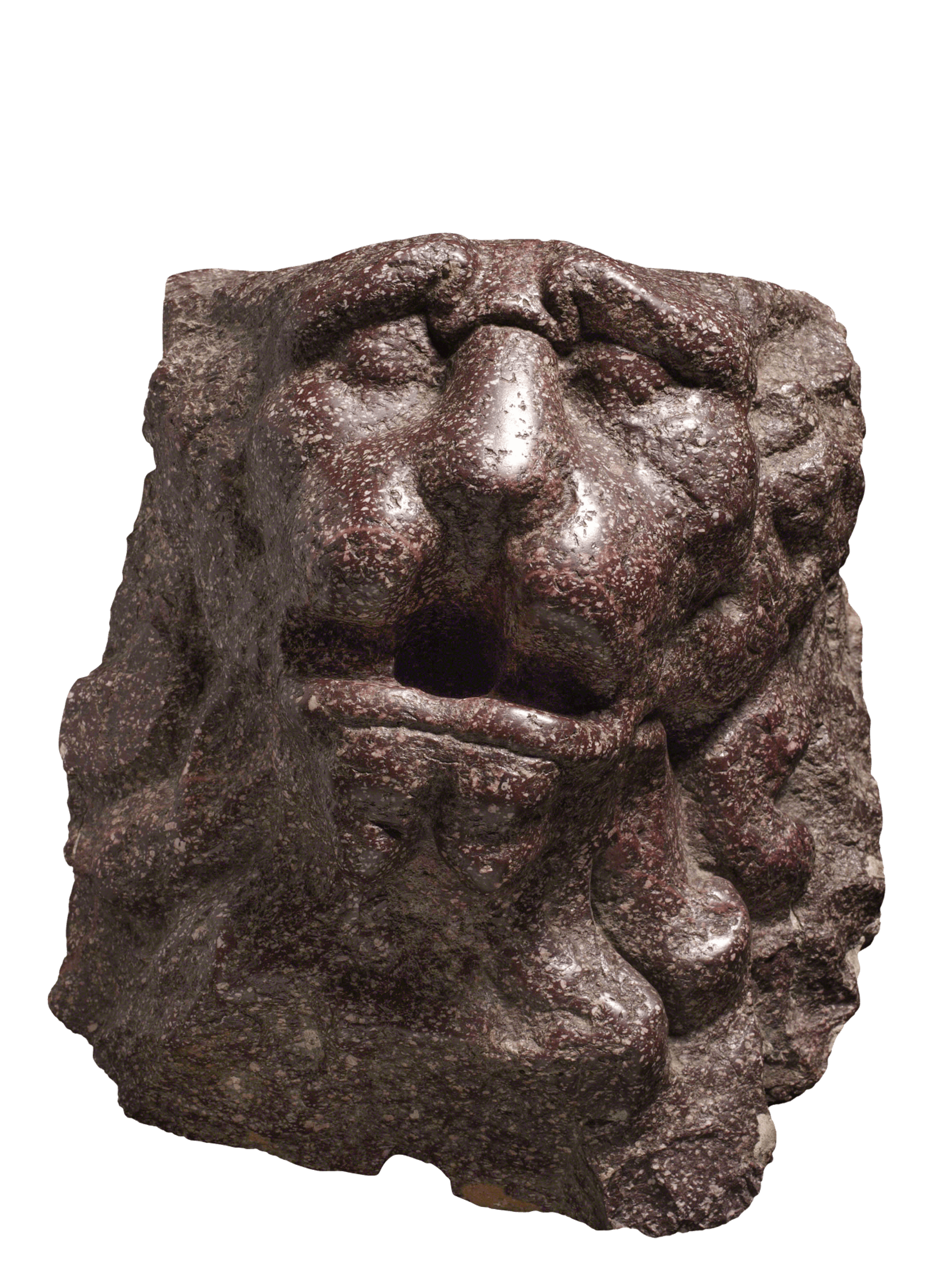 Lion's head 1 | Fondazione Santarelli