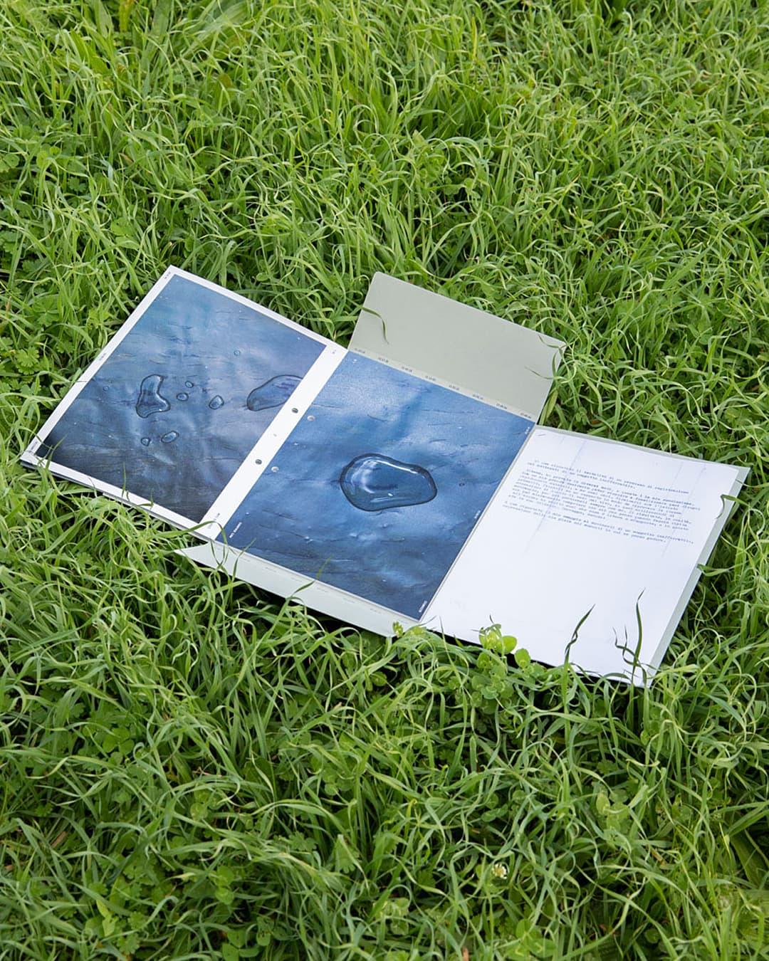 Open Moti dialogici publication with blue images on grass.