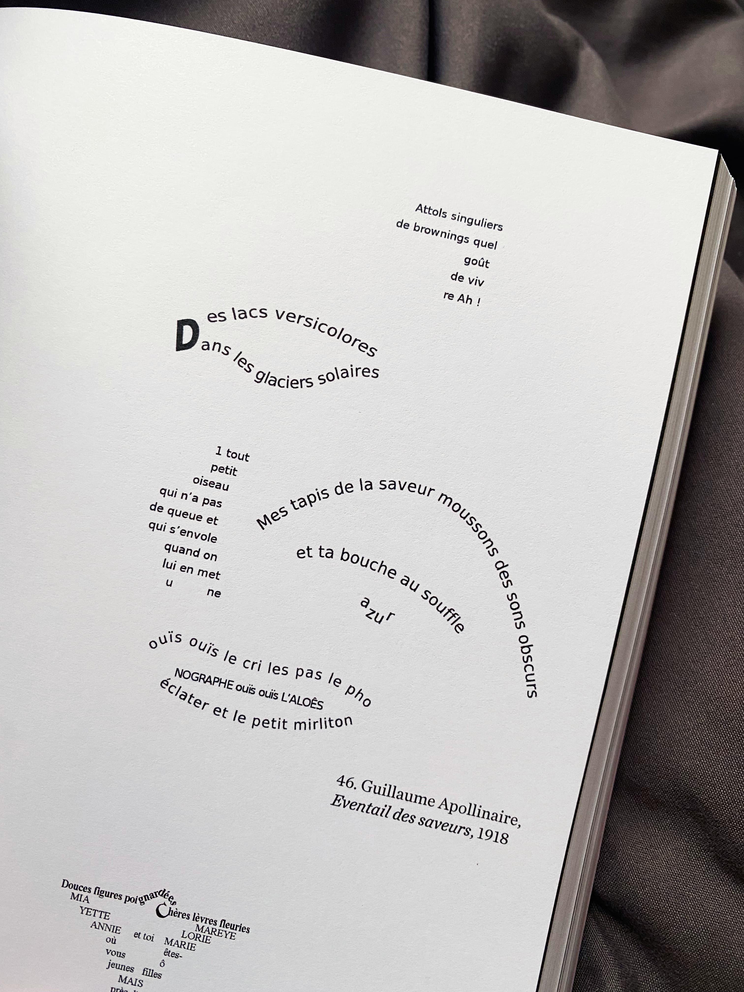 Close-up of a book page with a French concrete poem arranged typographically.