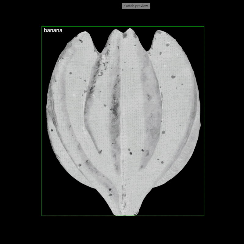The Impossible Anatomy, a white symmetrical vulva-like form on a black background.