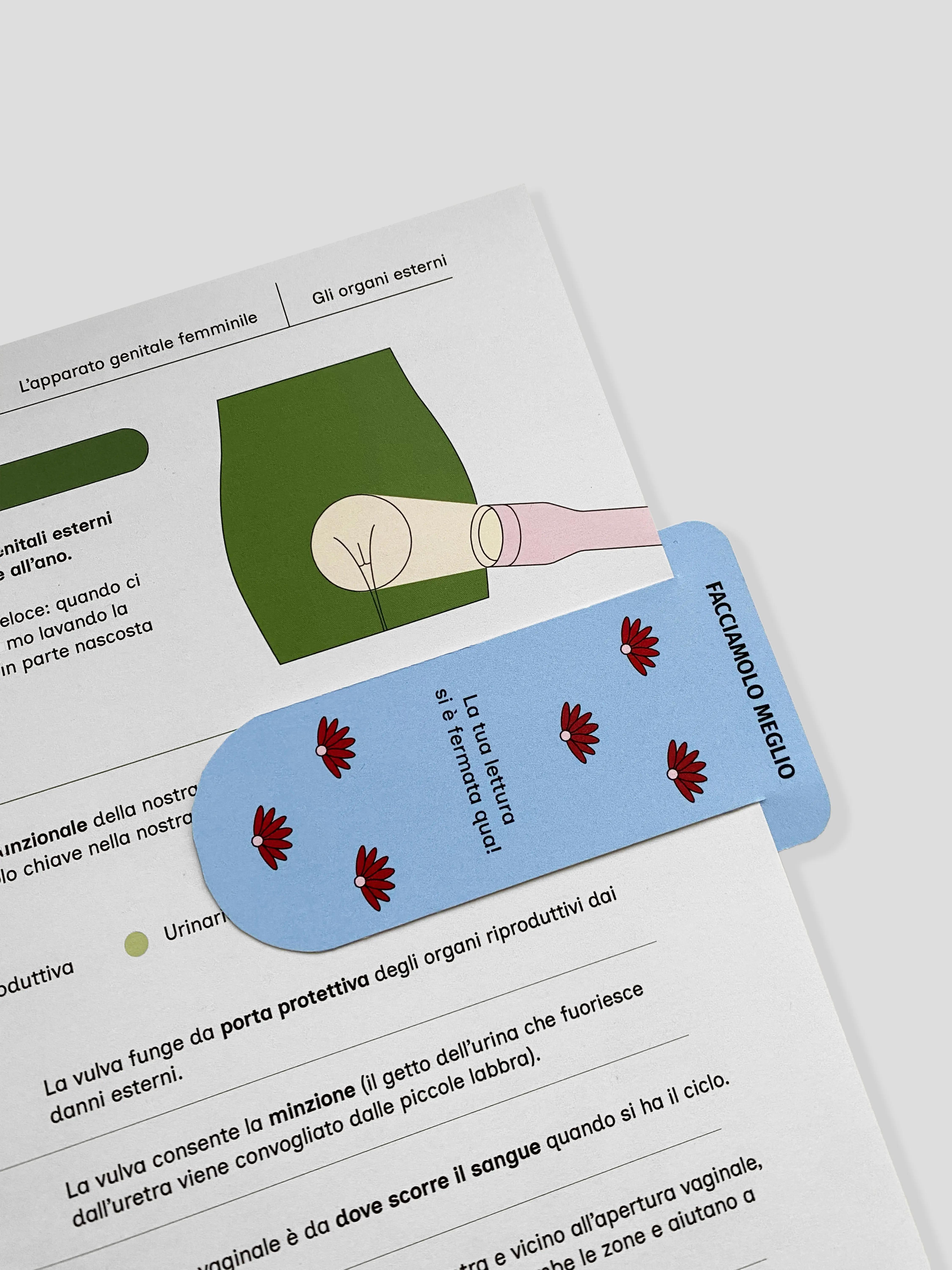 Close-up educational page with a simple illustrated diagram of external reproductive anatomy and a blue Facciamolo Meglio tab.