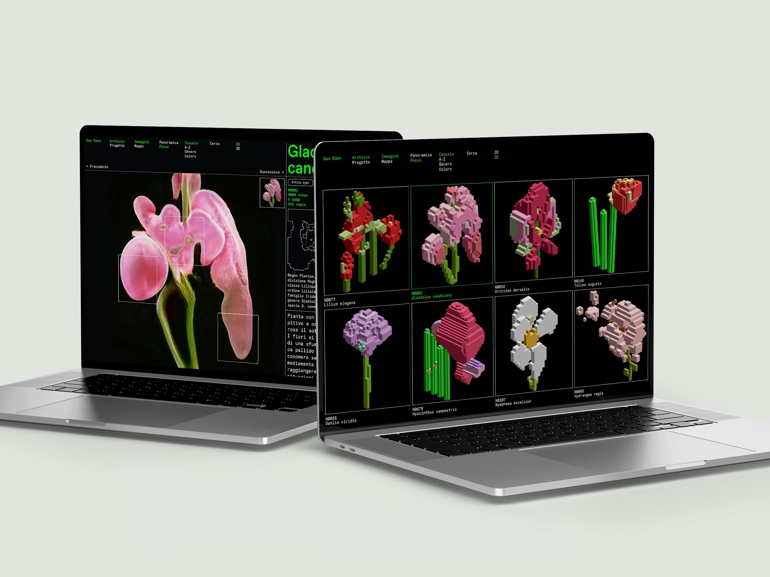 Two laptops displaying pink and purple flowers against dark screens.