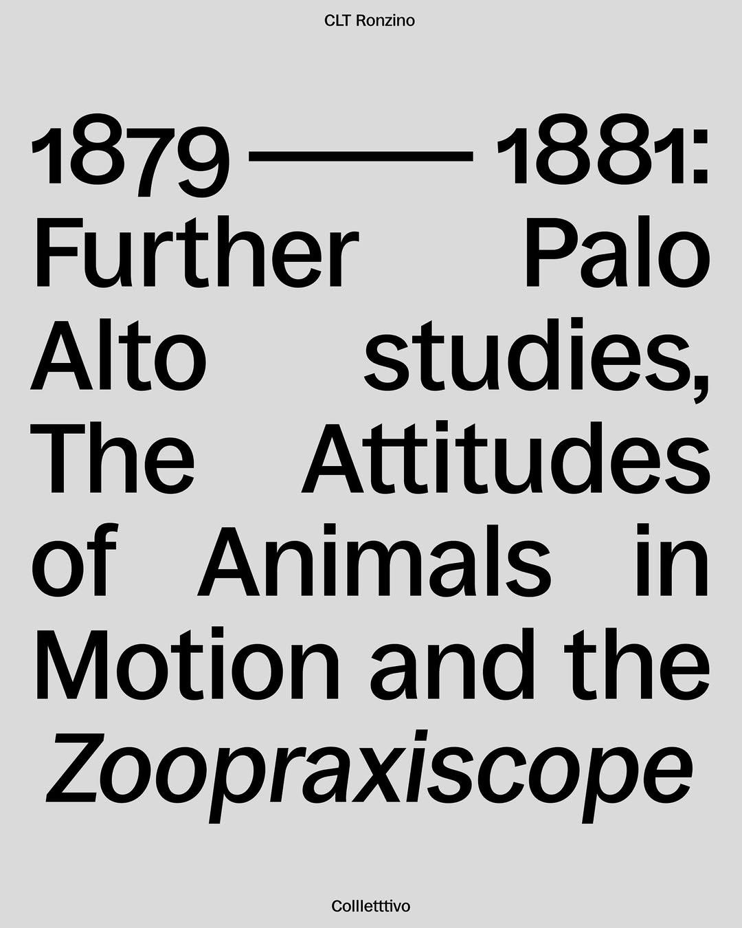 Ronzino specimen with oversized black text on a pale grey background.