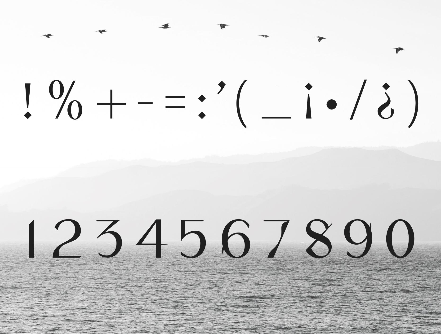 Acculturation Display poster with punctuation and symbols over a grayscale sea horizon.