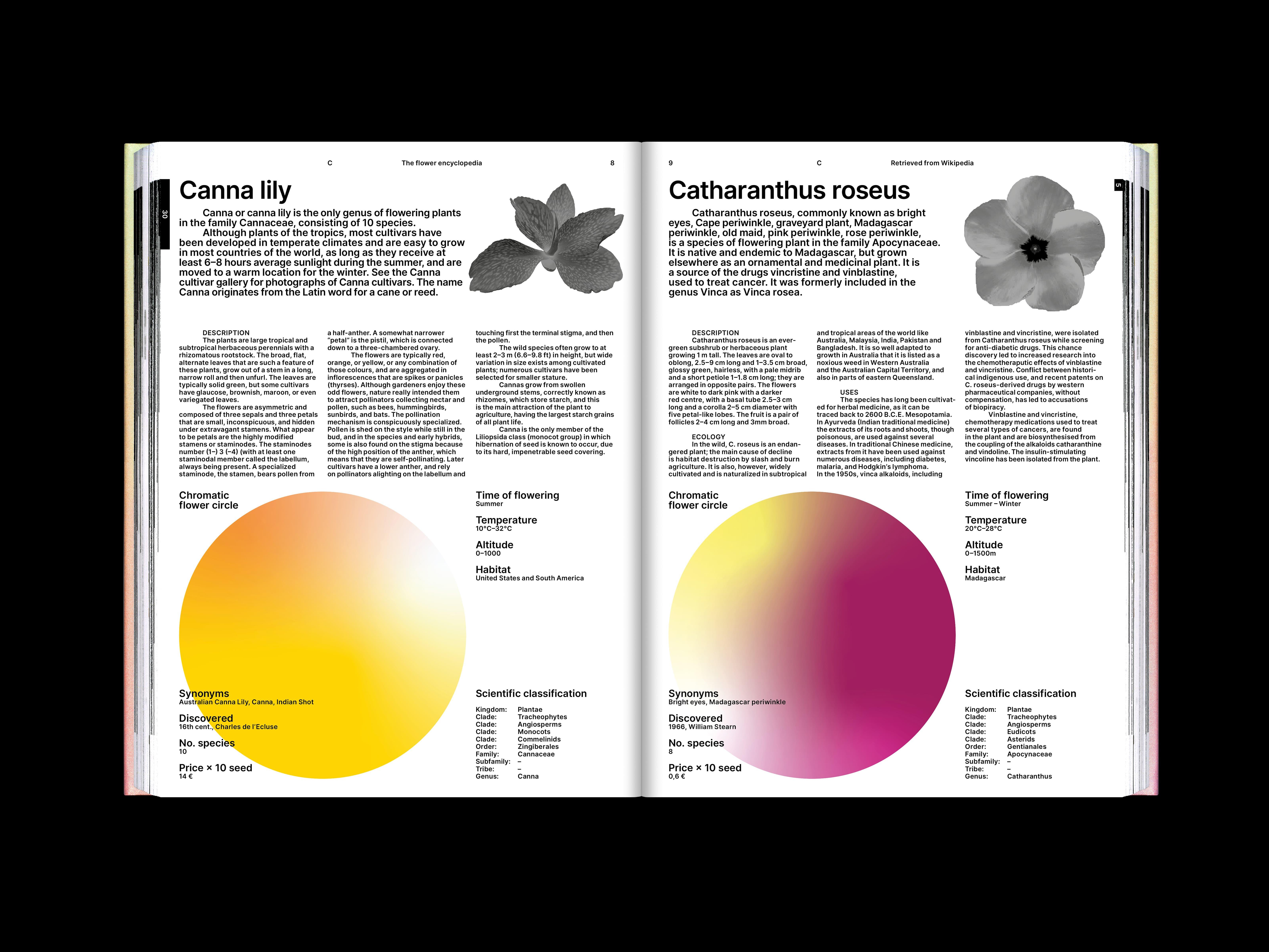 The Flower Encyclopedia project image showing the publication’s reflective botanical visual system.