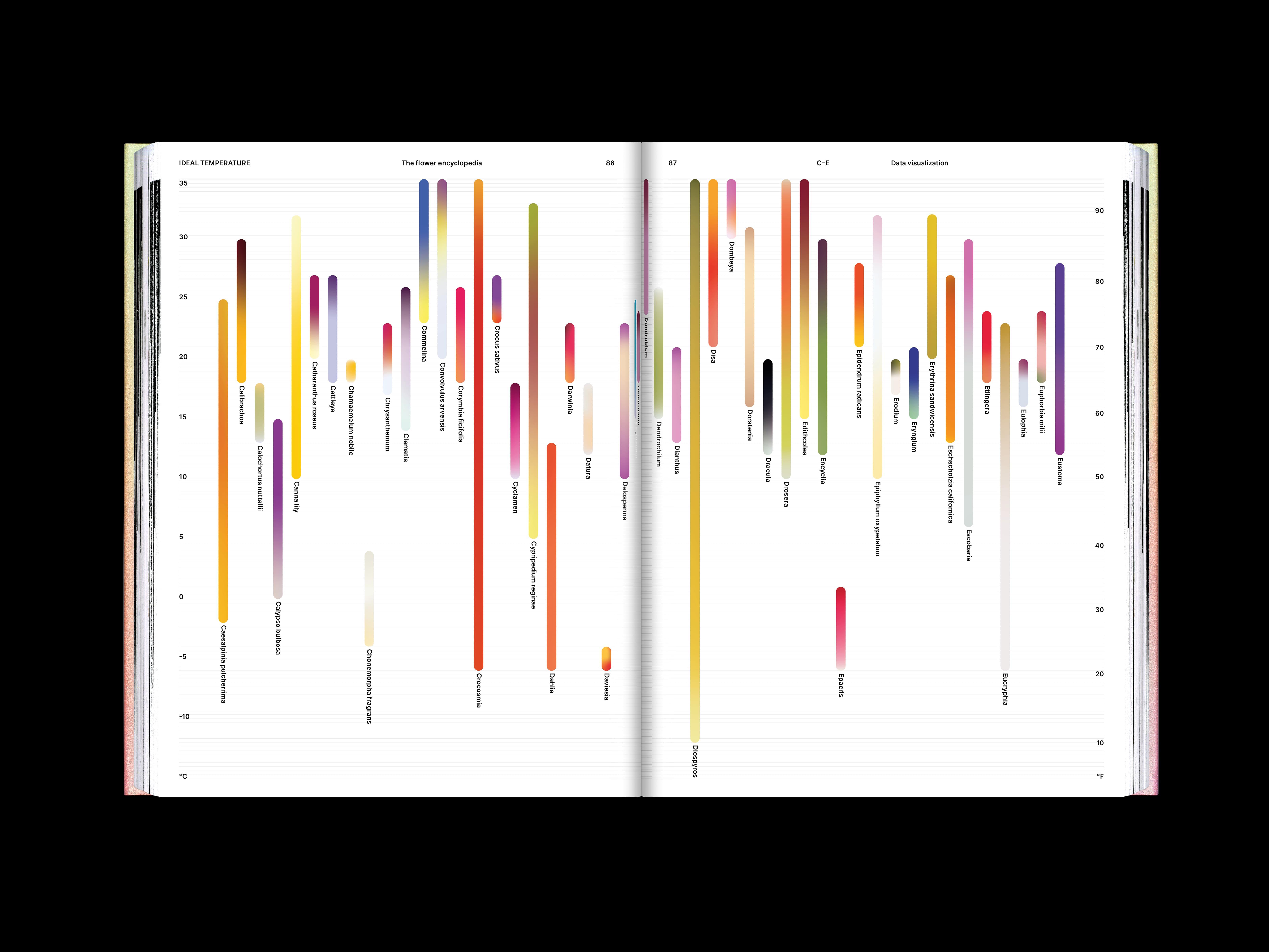 The Flower Encyclopedia project image showing the publication’s reflective botanical visual system.