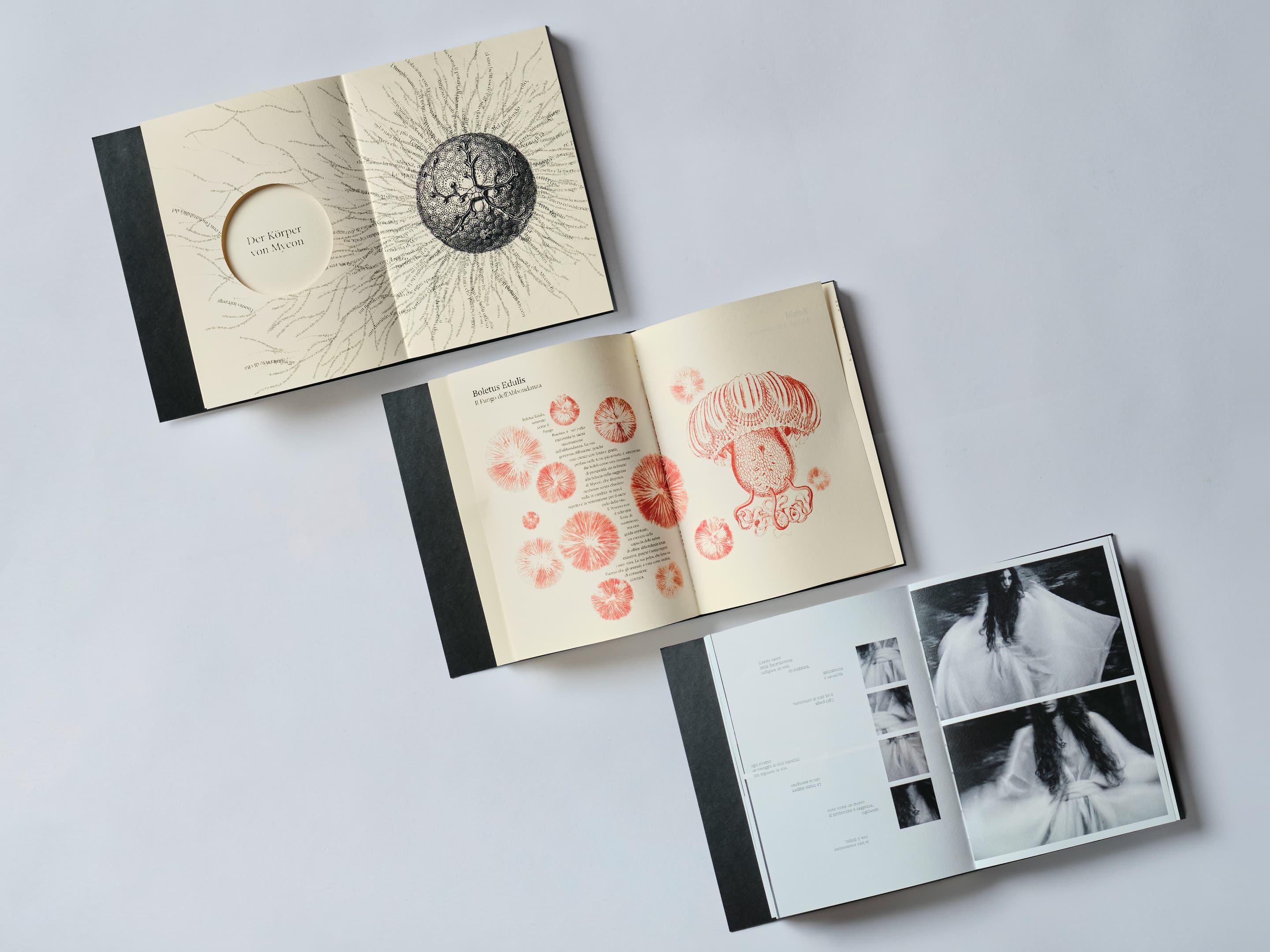 Three Myconismo book spreads with botanical and mushroom illustrations.