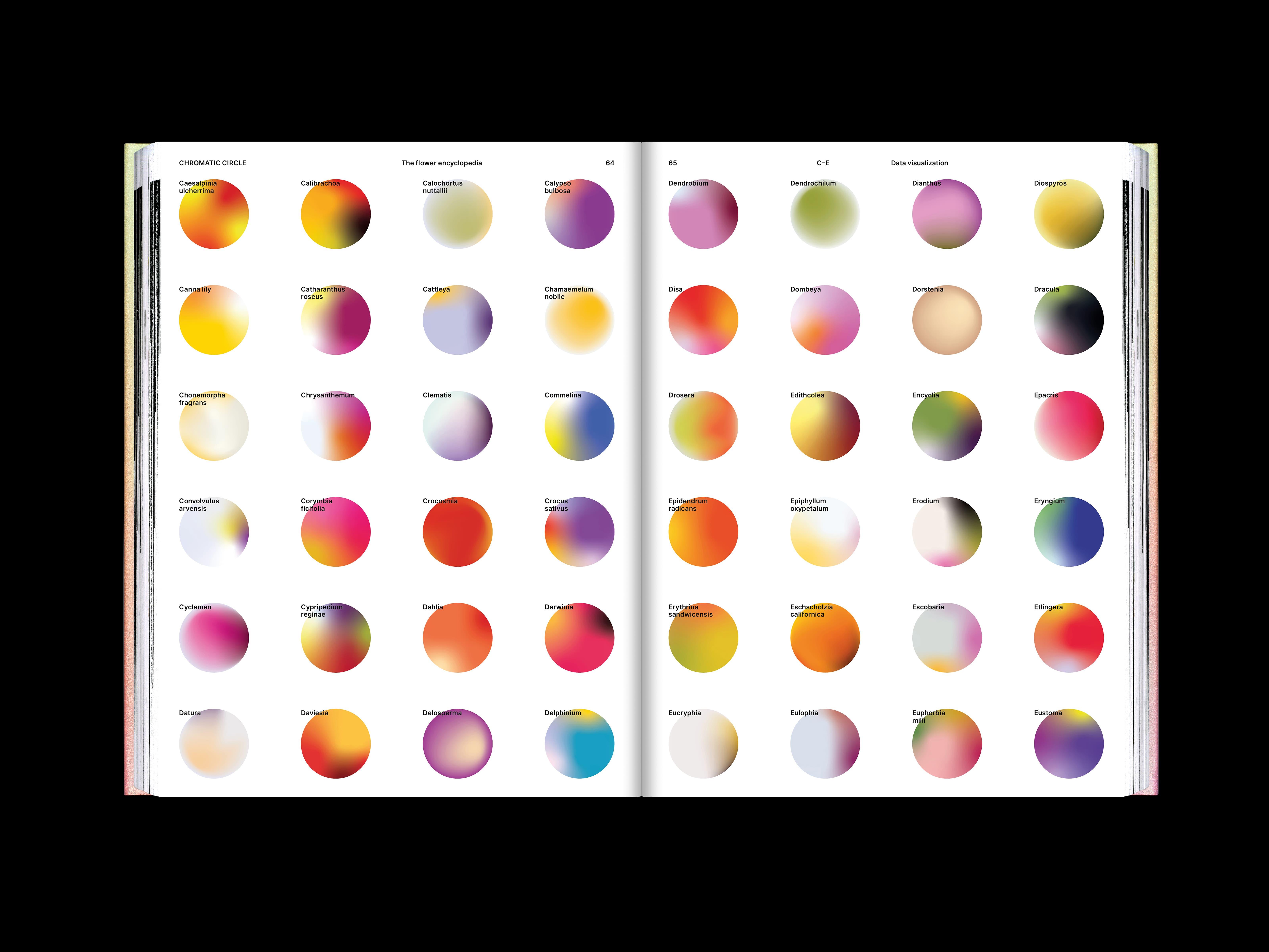 The Flower Encyclopedia project image showing the publication’s reflective botanical visual system.