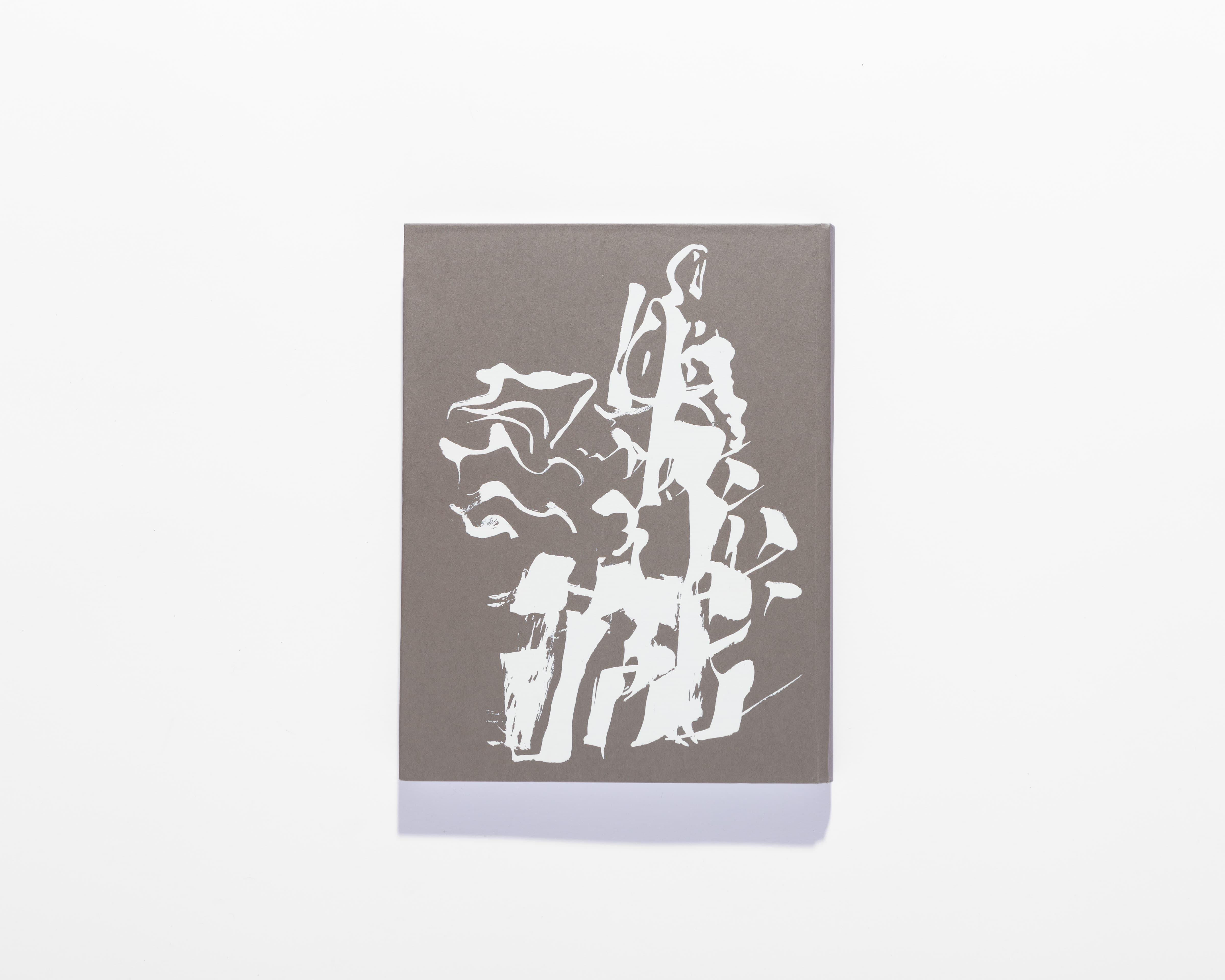 Grey Il Crampo di Gesso book cover with a white abstract figure.