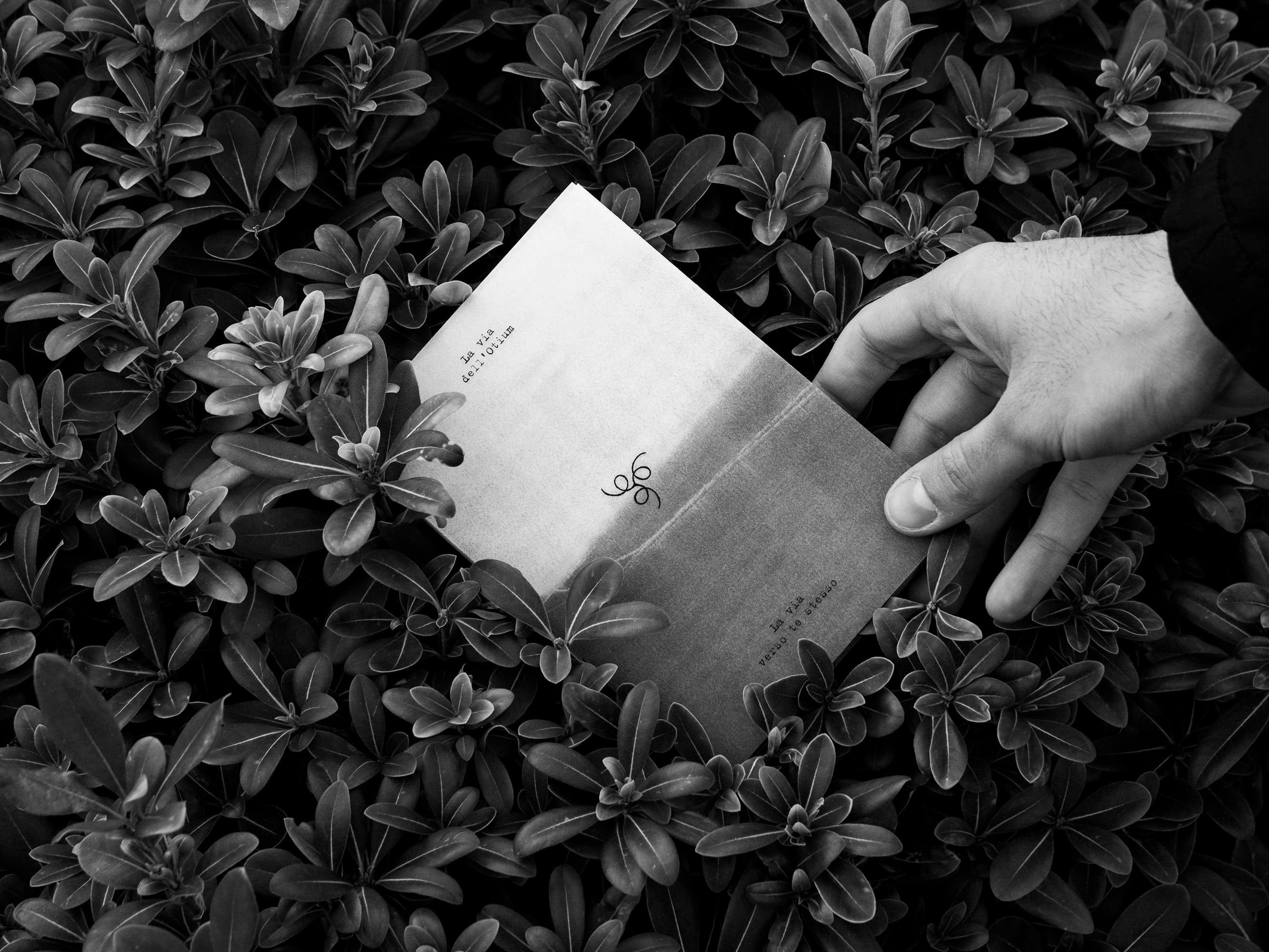 Black-and-white photograph of a hand holding a white booklet over plants.