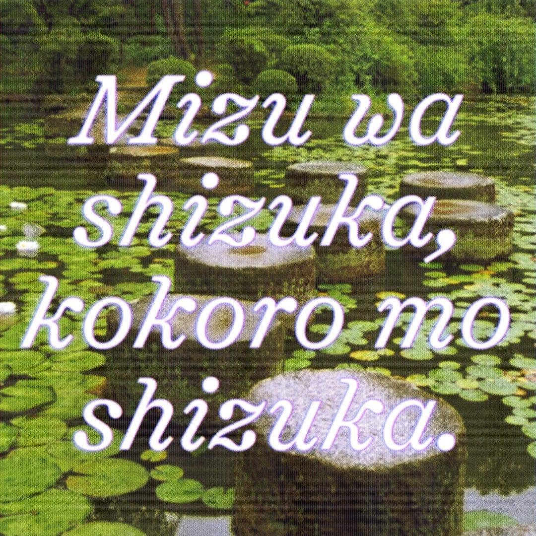 Shinka type specimen over a lily pond, with Japanese text.