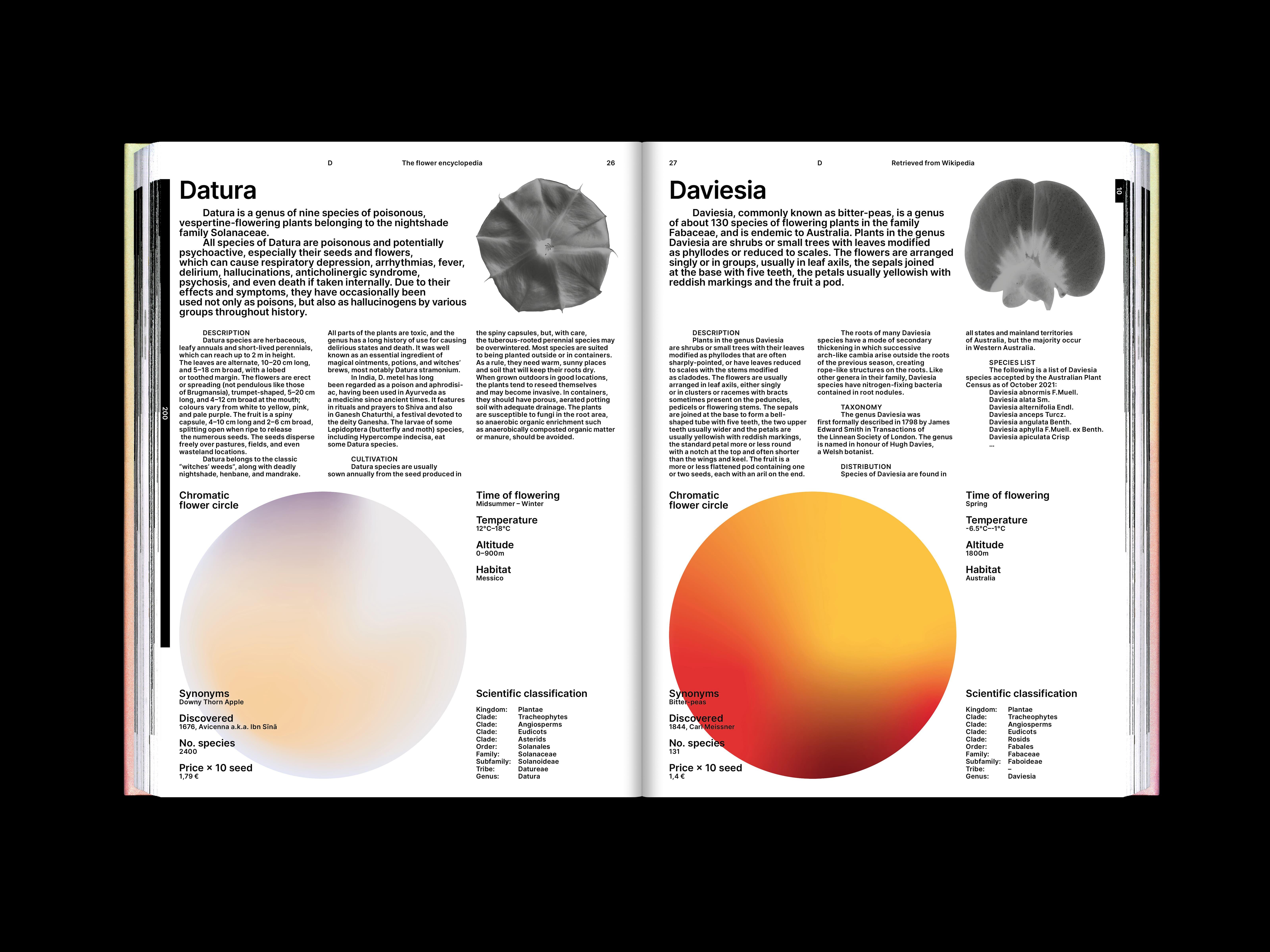 The Flower Encyclopedia project image showing the publication’s reflective botanical visual system.