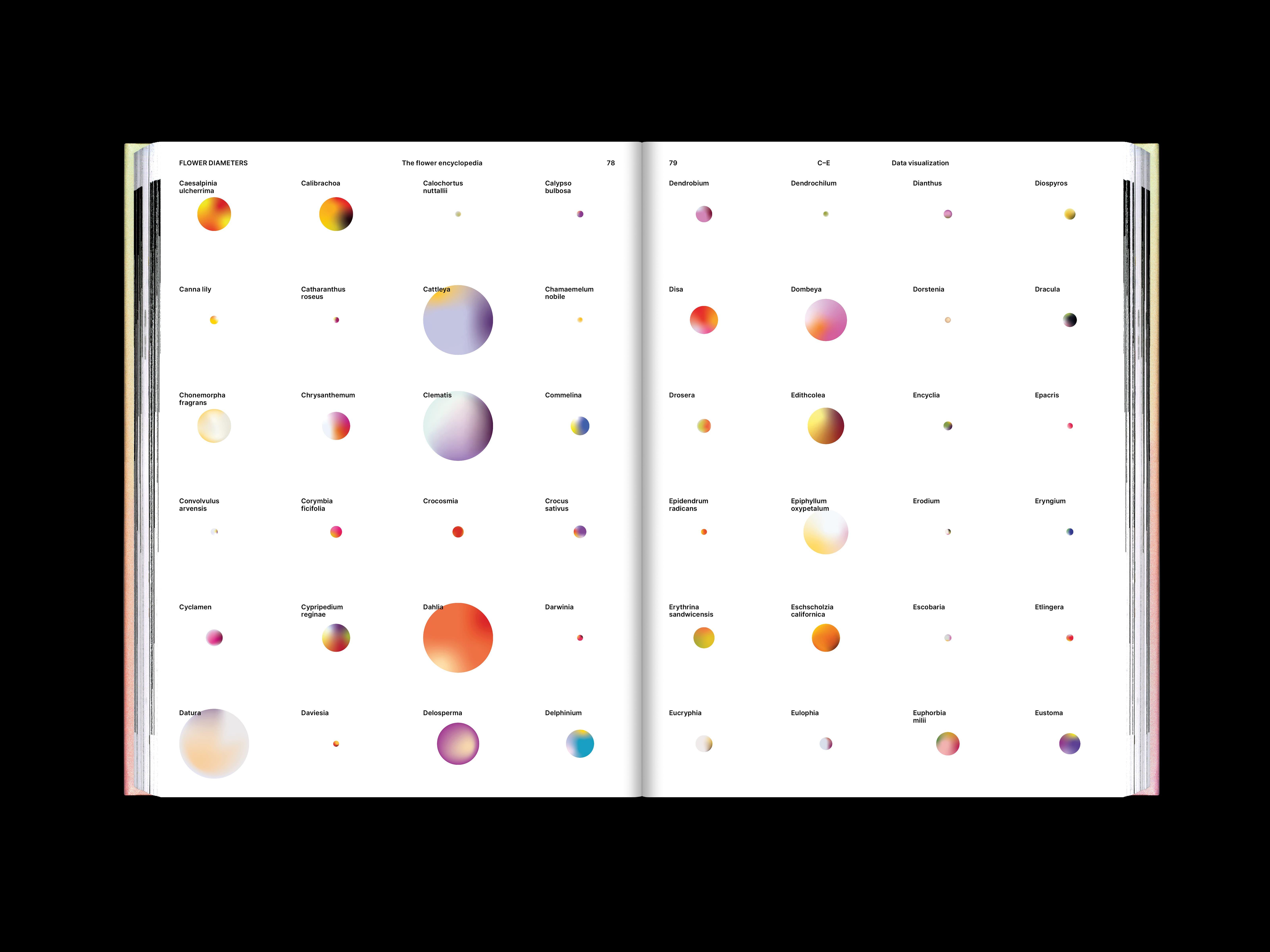 The Flower Encyclopedia project image showing the publication’s reflective botanical visual system.