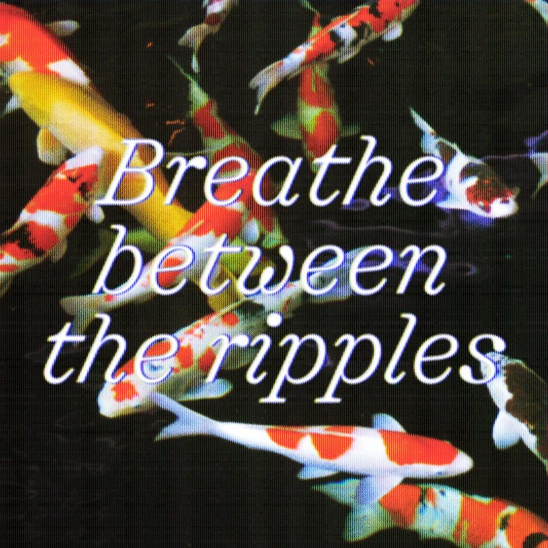 Shinka type specimen over koi fish, with the words "Breathe between the ripples."