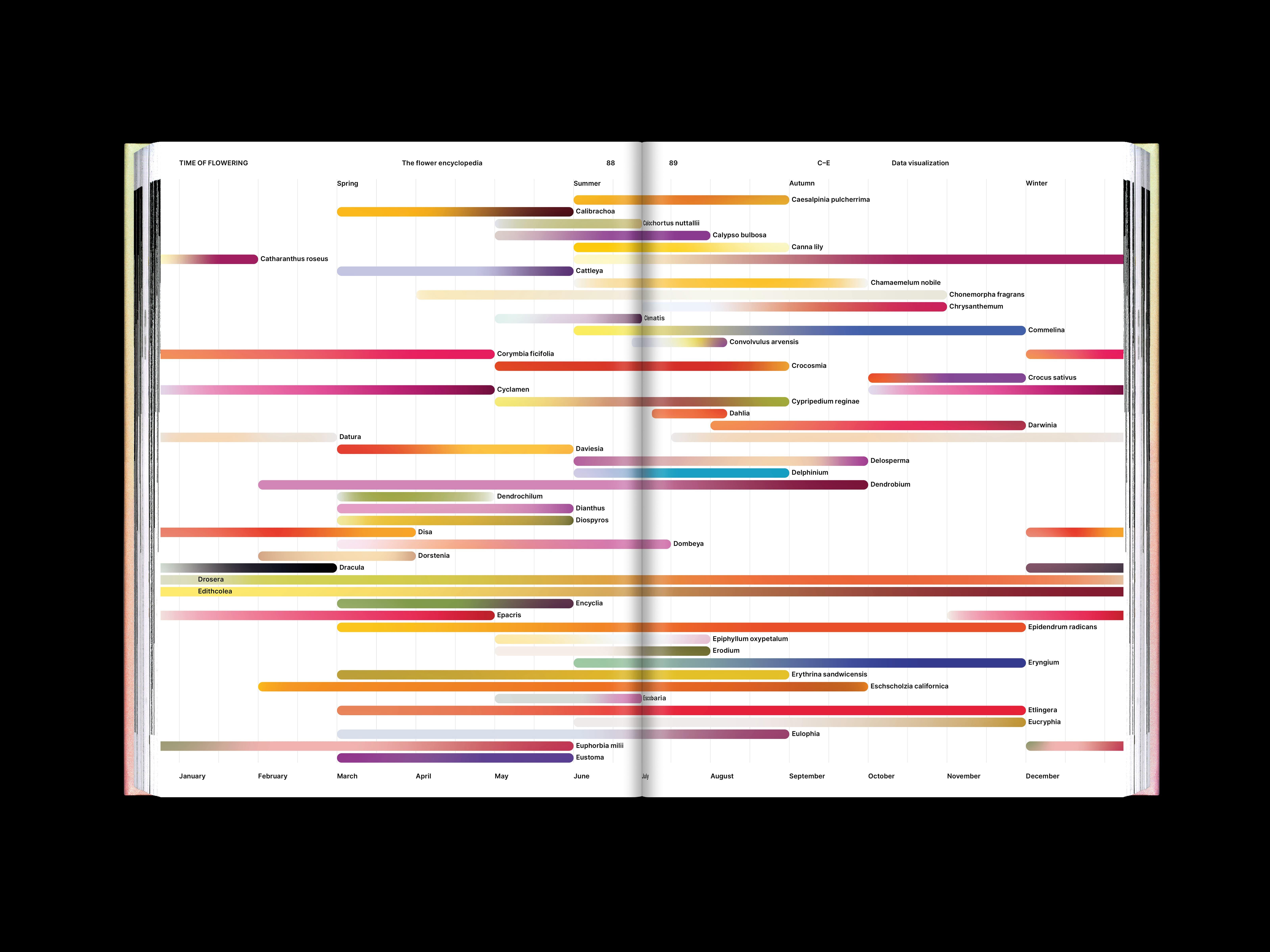 The Flower Encyclopedia project image showing the publication’s reflective botanical visual system.