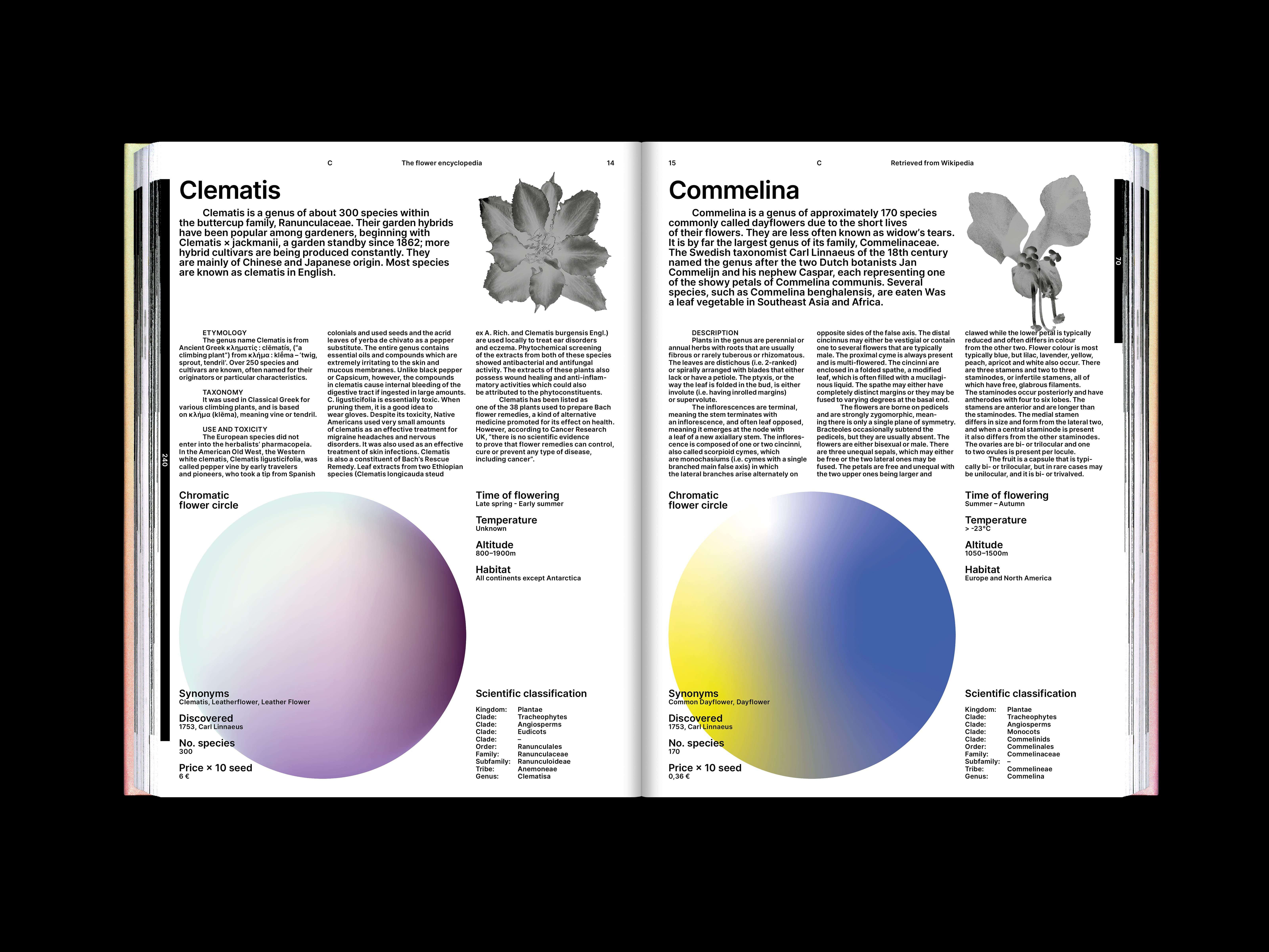 The Flower Encyclopedia project image showing the publication’s reflective botanical visual system.