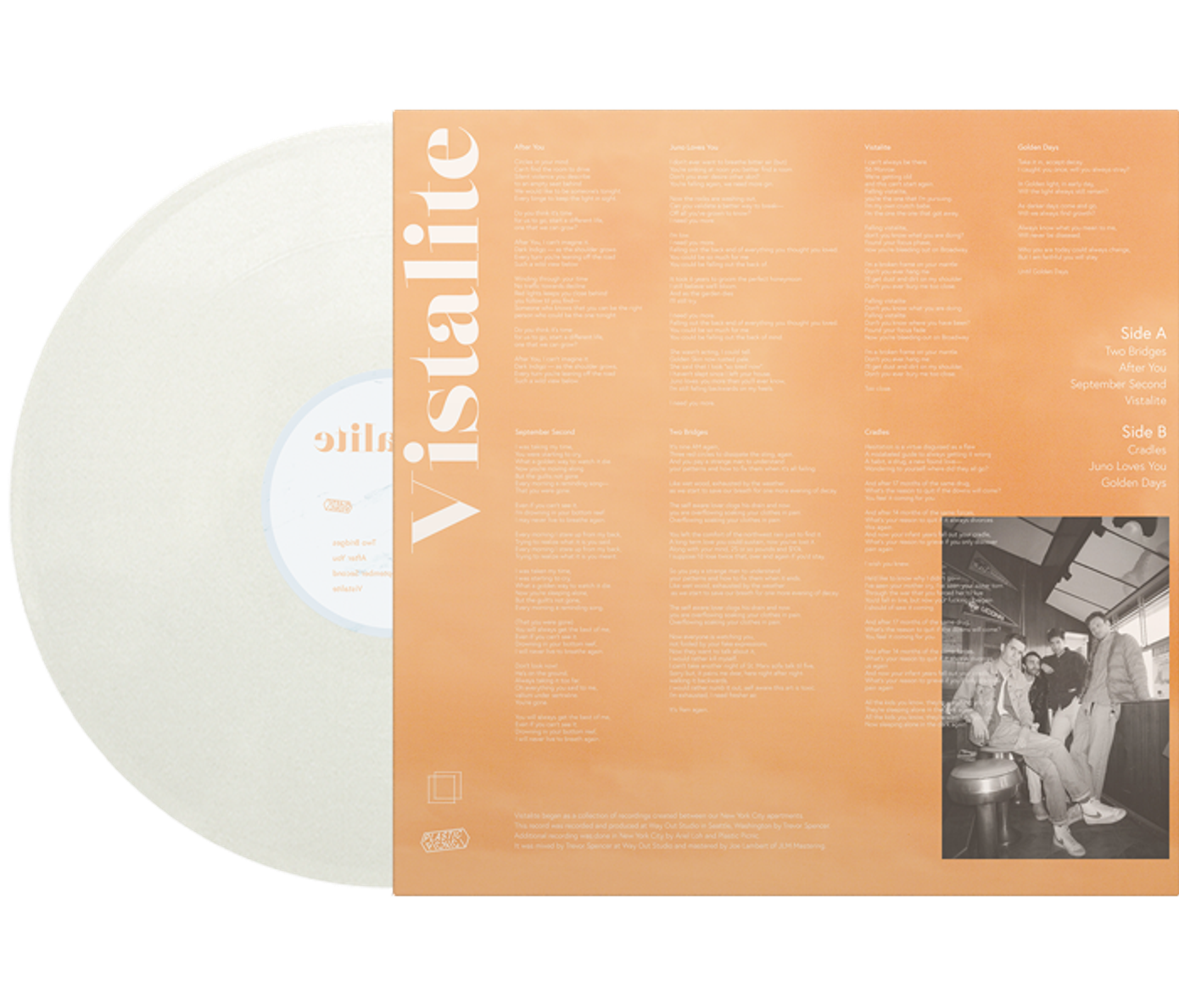 plastic picnic vistalite vinyl