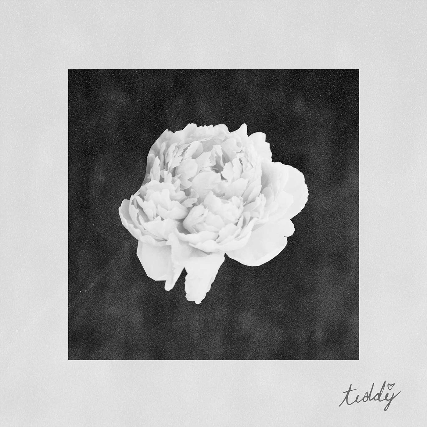 ‘LillyAnna’ single artwork draft