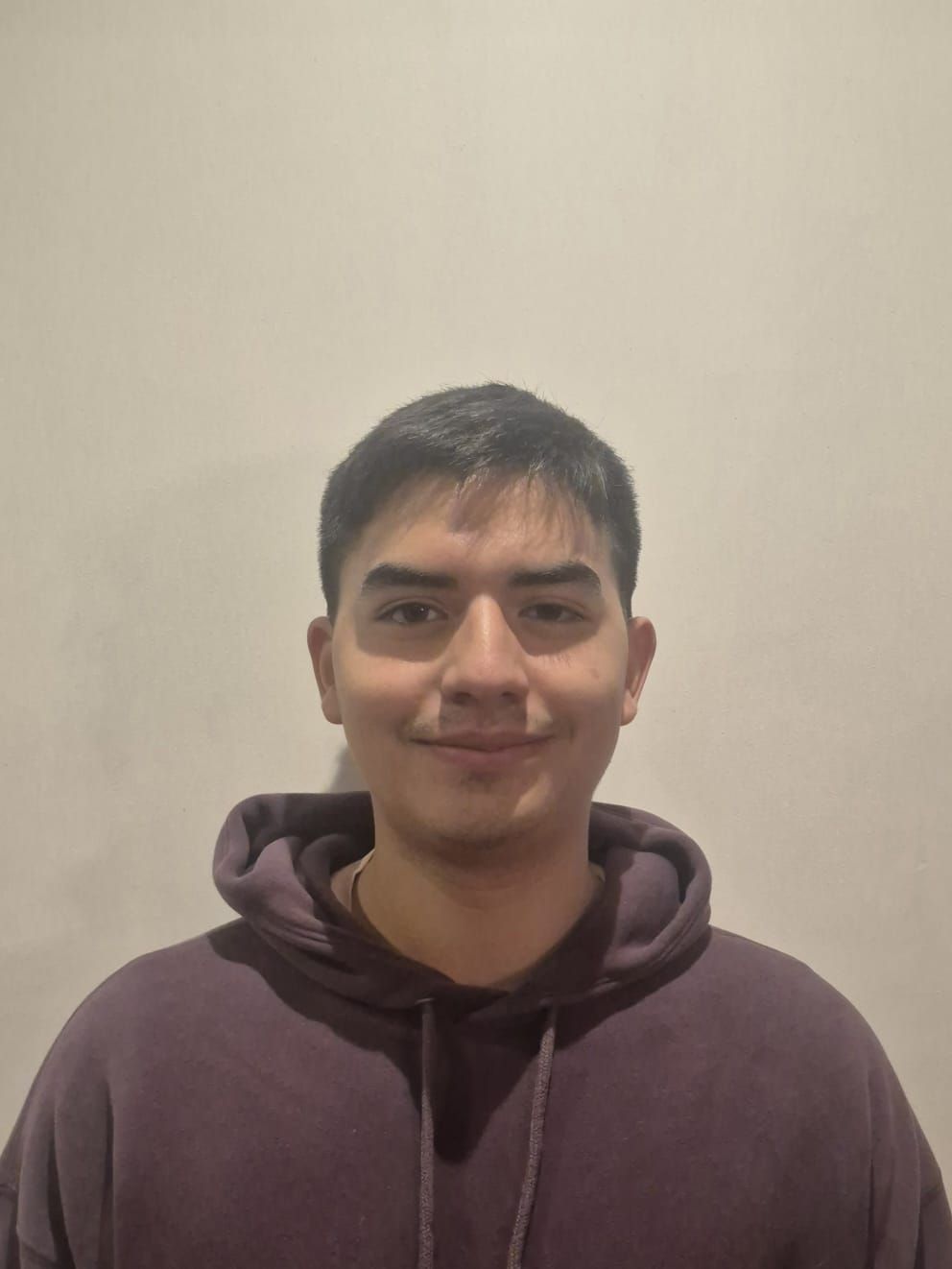 Mikel Apestegui