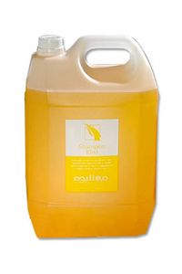 SHAMPOO KIWI  - 2,5 LT