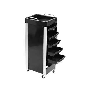 CARRO AYUDANTE BICOLOR