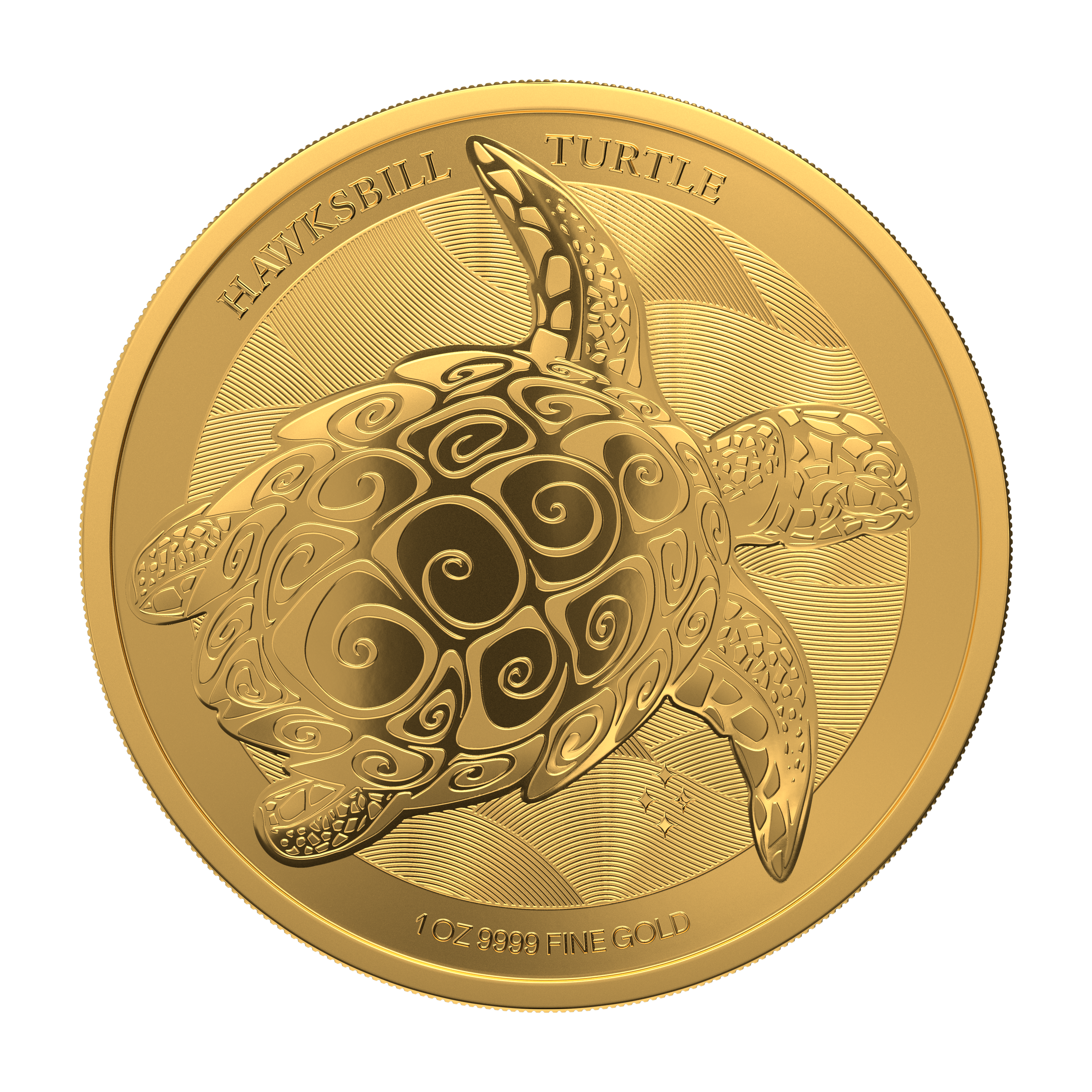 Gold coin with a turtle pattern
