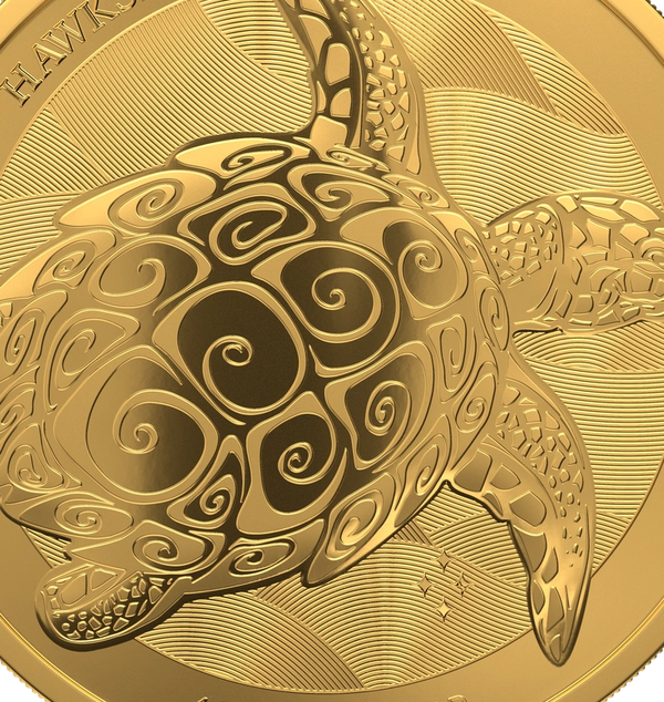 Gold coin with a turtle pattern
