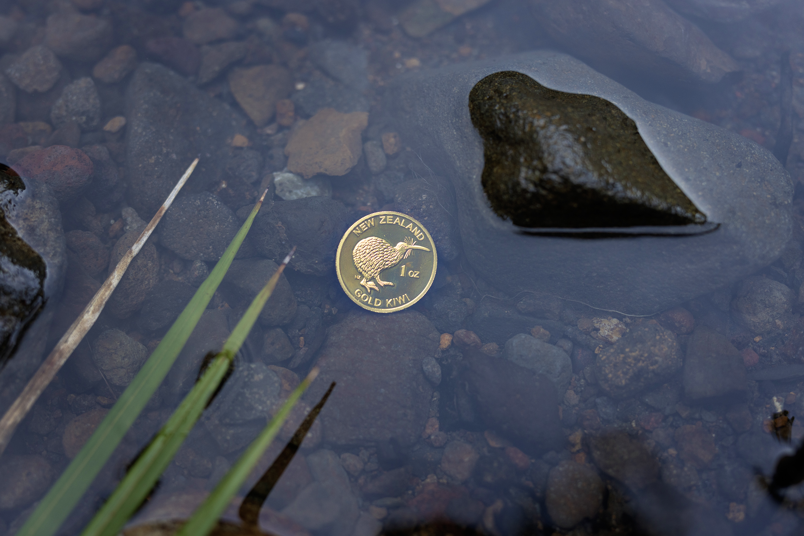 1oz Gold Kiwi Coin underwater