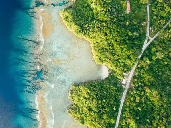 Aerial view of a vibrant coastline with lush green forest meeting clear turquoise water. The image shows a road winding through dense vegetation on the right.