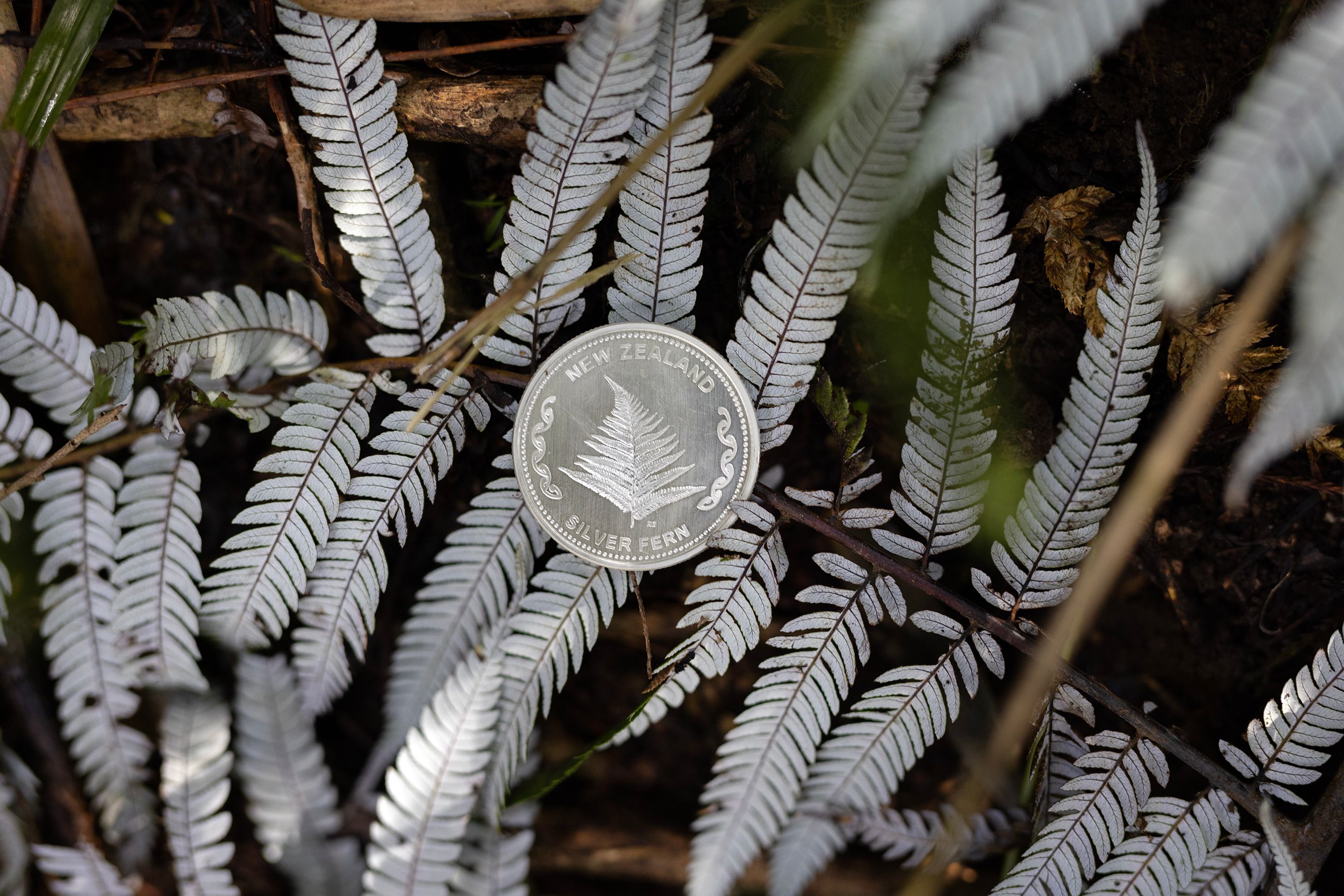 a silver coin is sitting on top of a silver fern