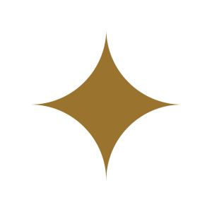 Gold star icon