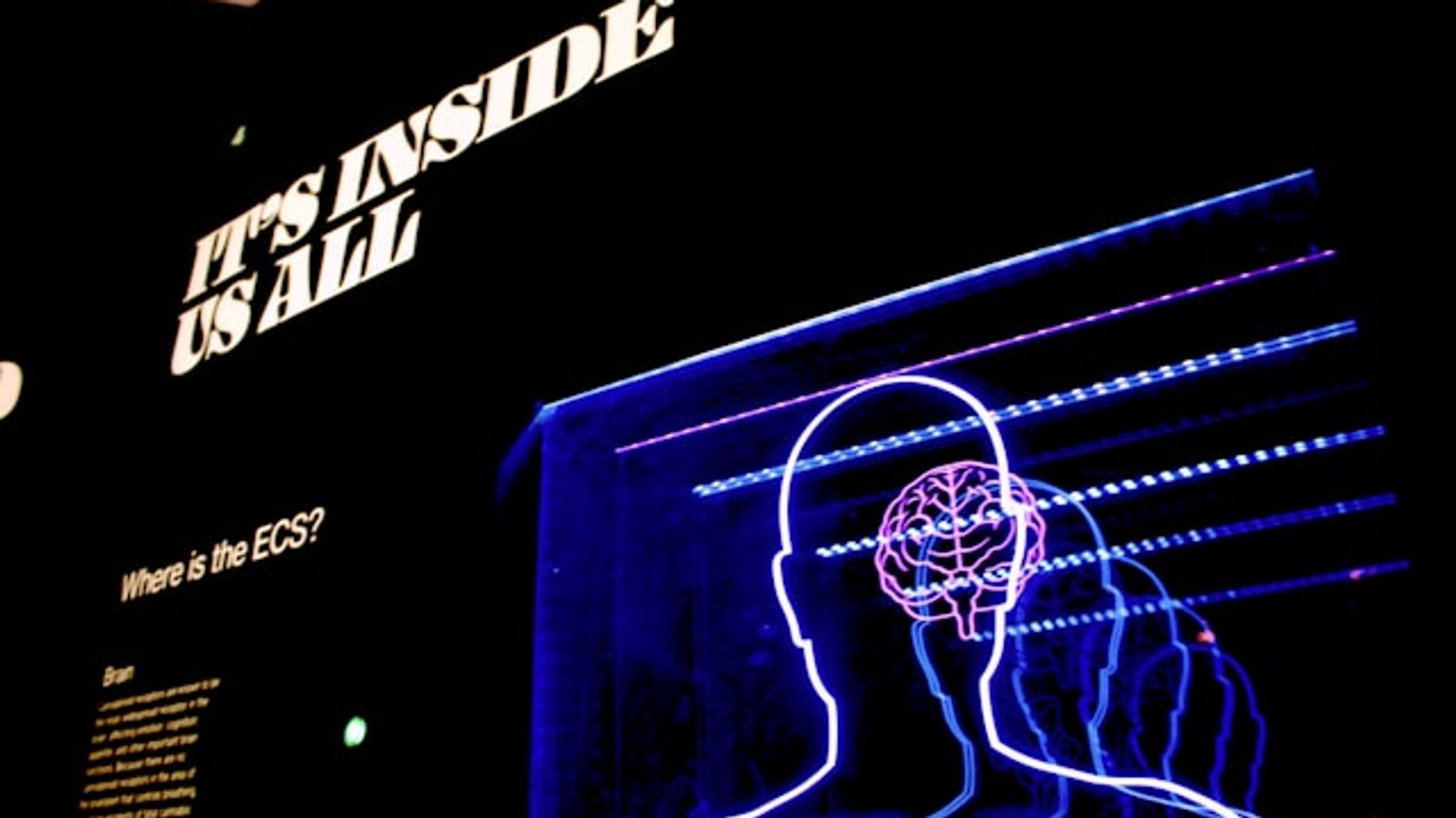 The Psychology Behind High-Converting Landing Pages