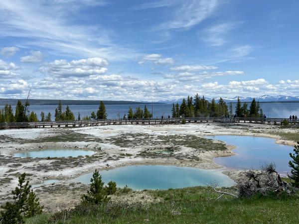 Yellowstone 