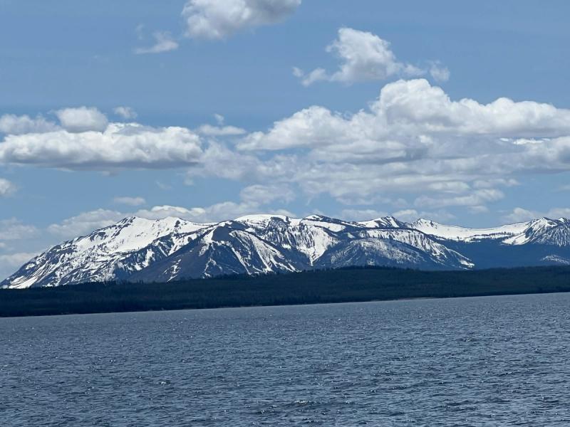 Blog post image