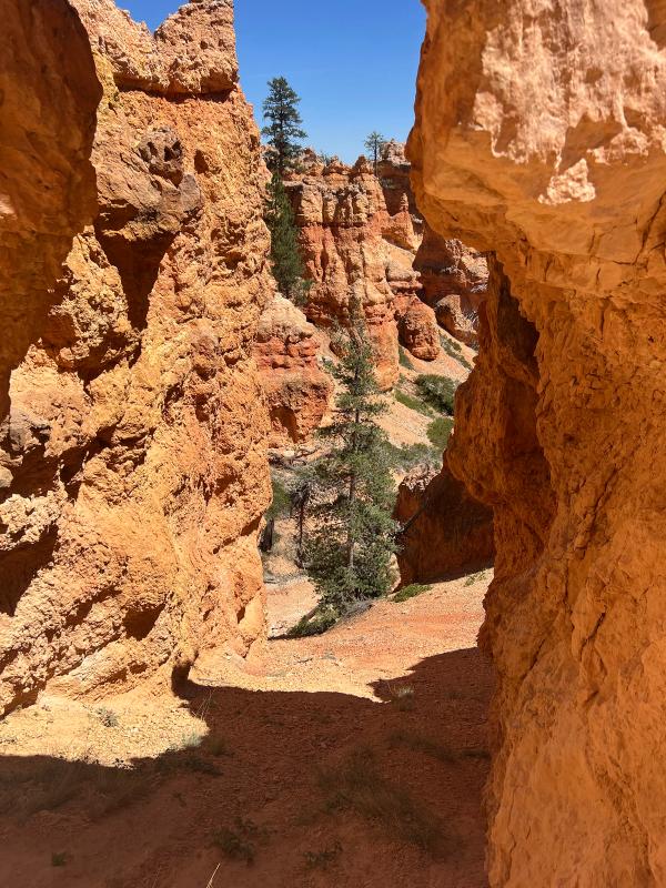 Bryce Canyon