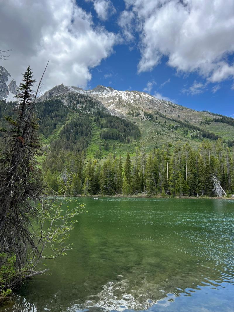 Blog post image
