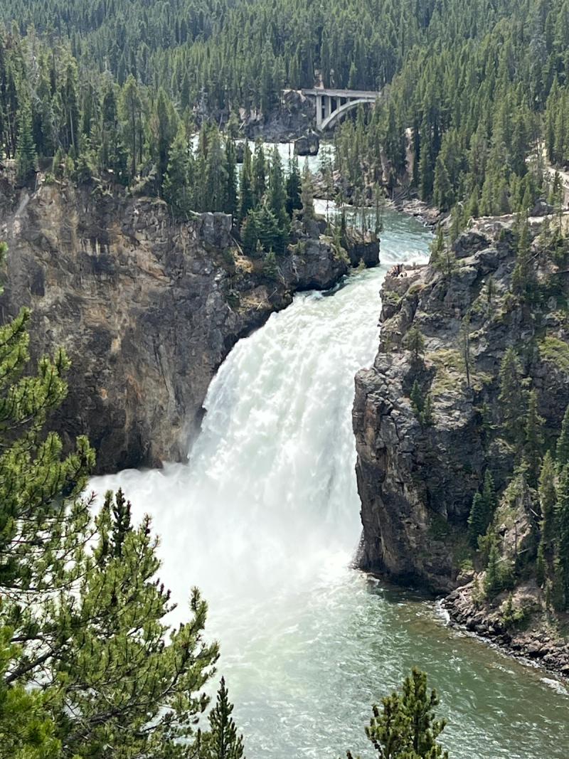 Blog post image