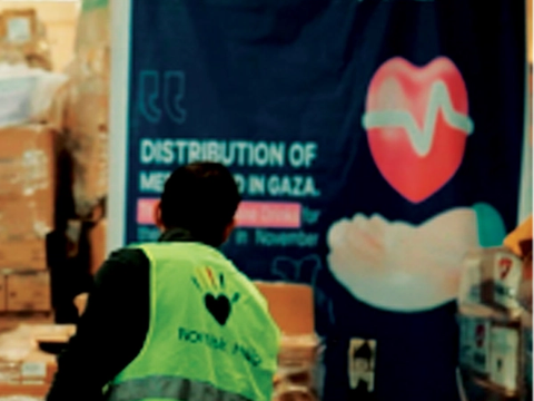 Medical support via Nordisk Hjälp