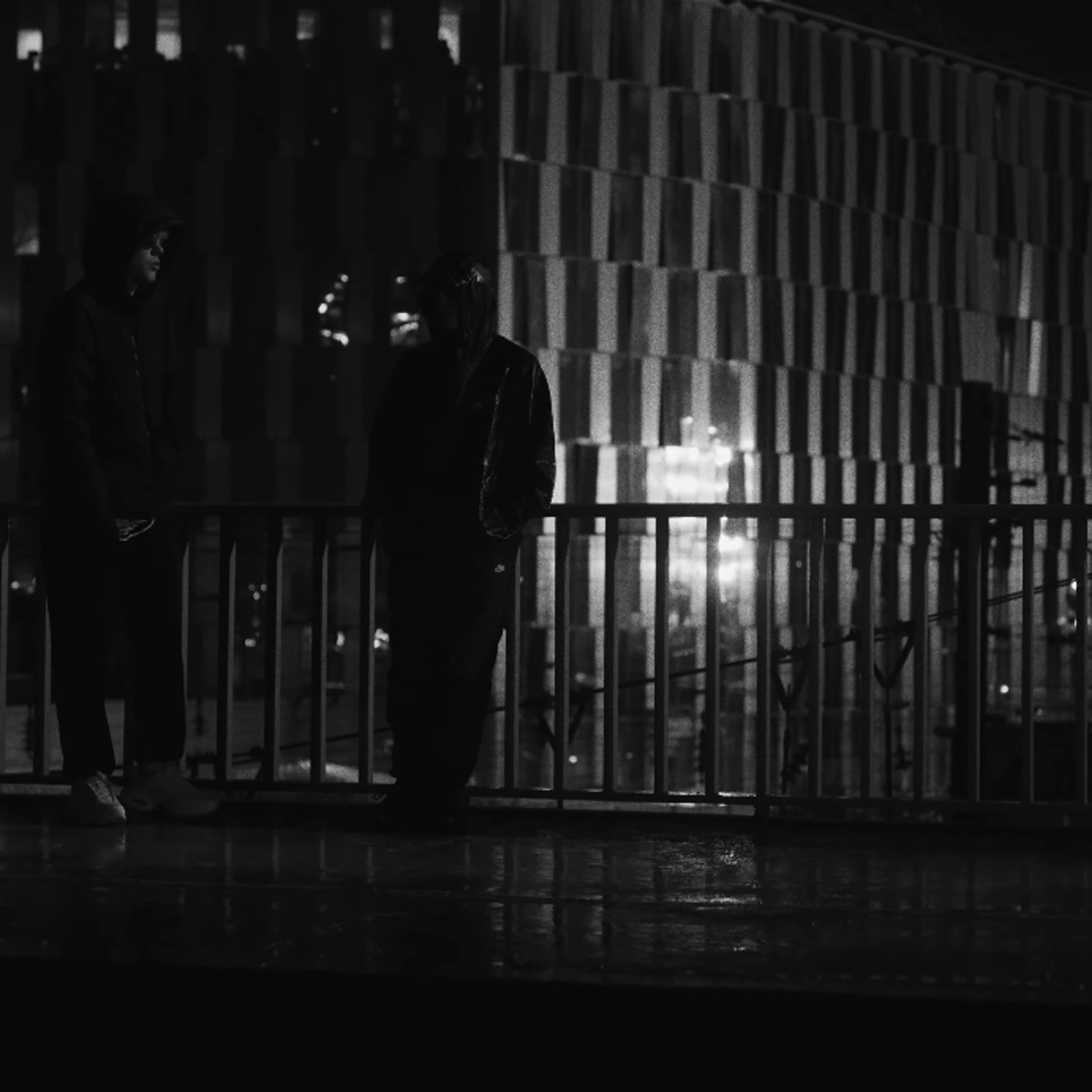 plan large observant les sujets au loin