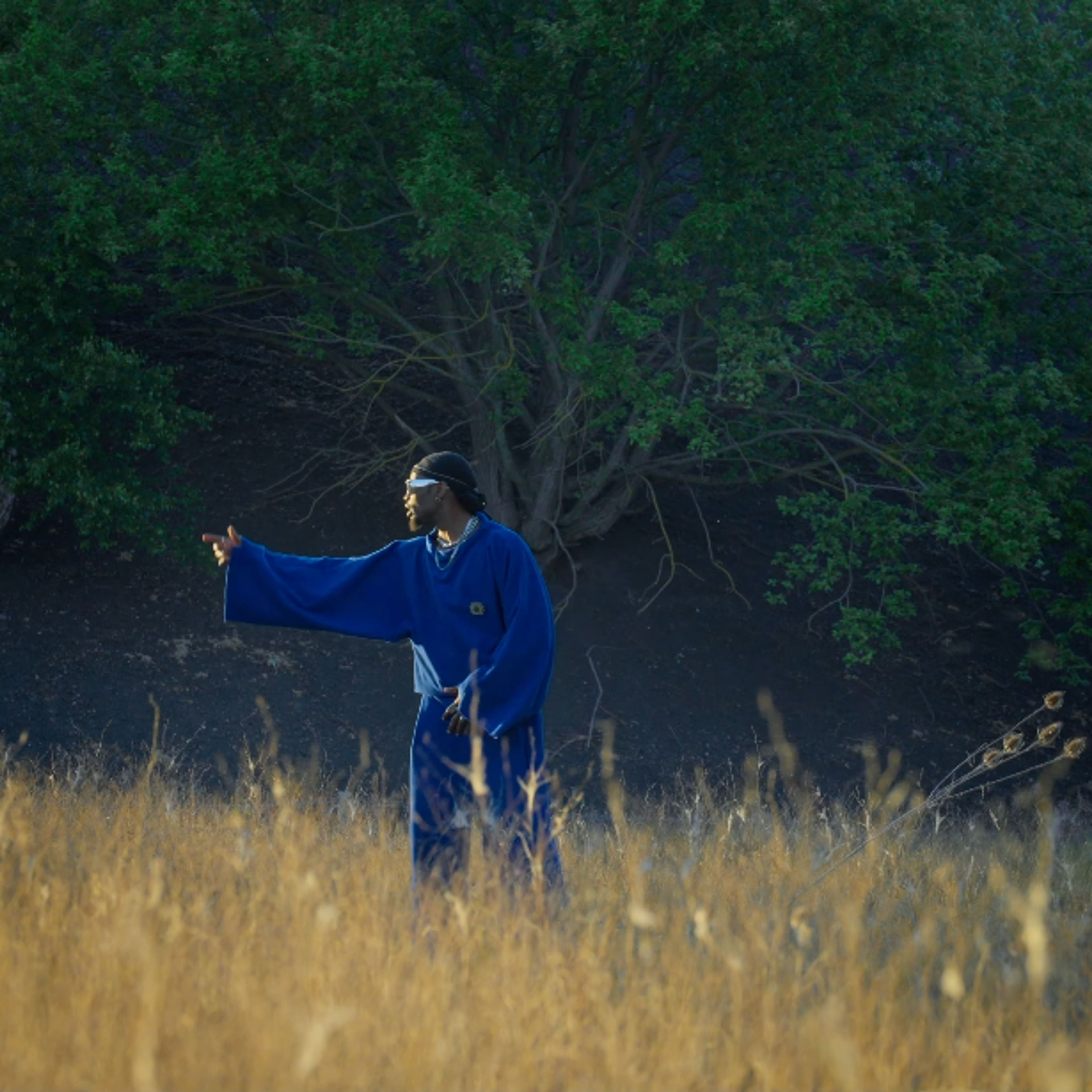 Plan large au milieu d'un terril