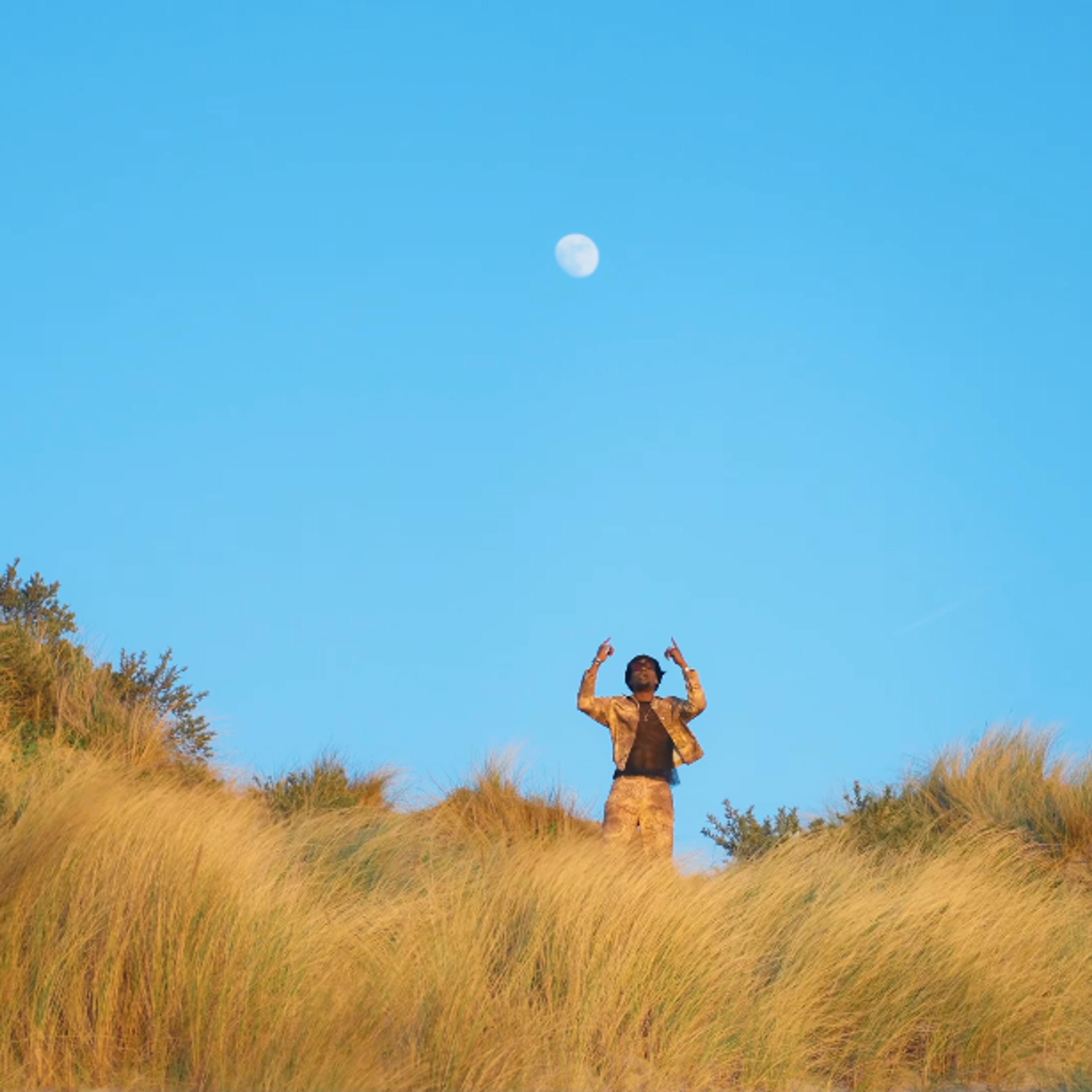 Plan très large au milieu d'une dune